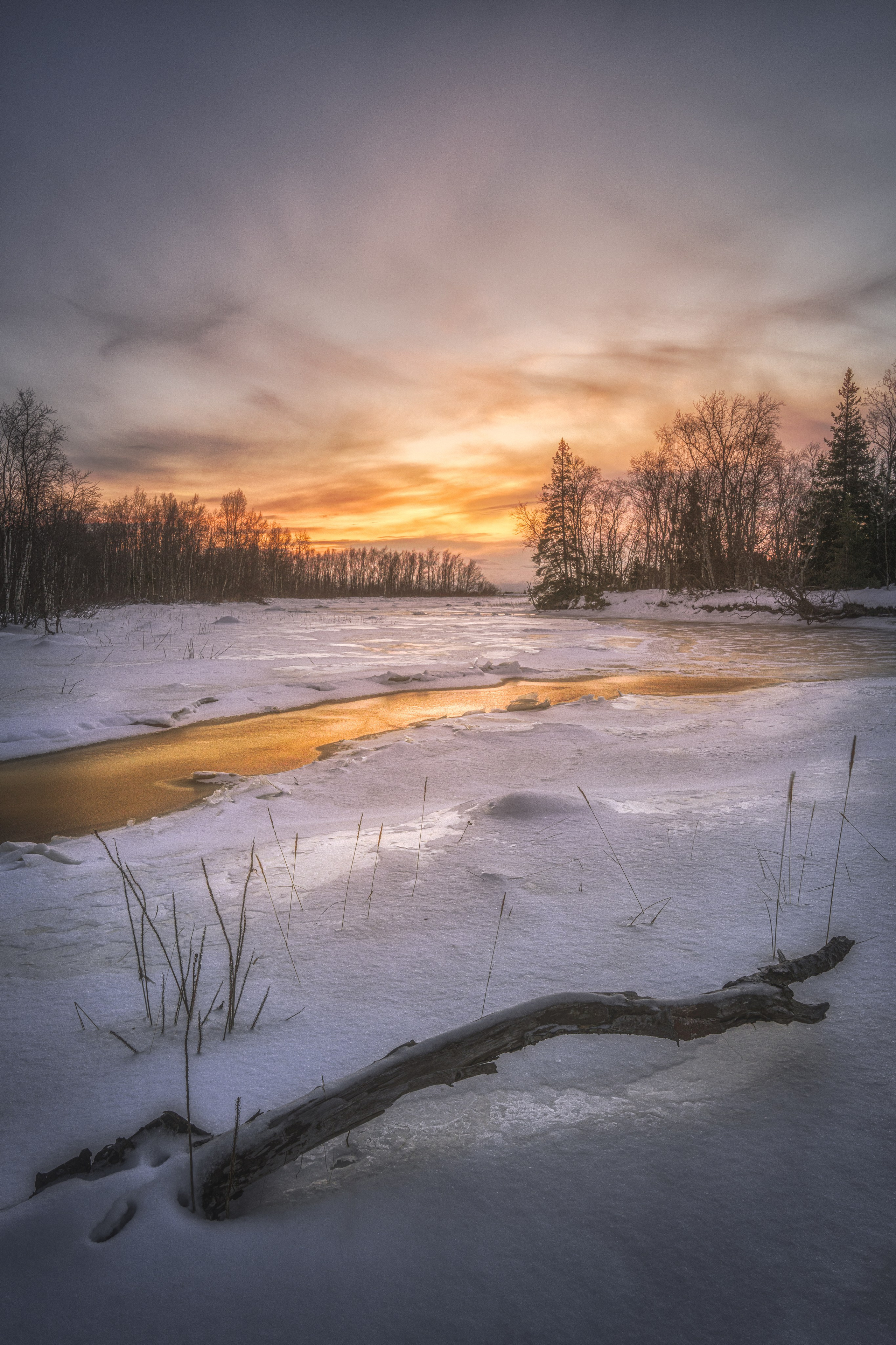 Предзимье на Кольском