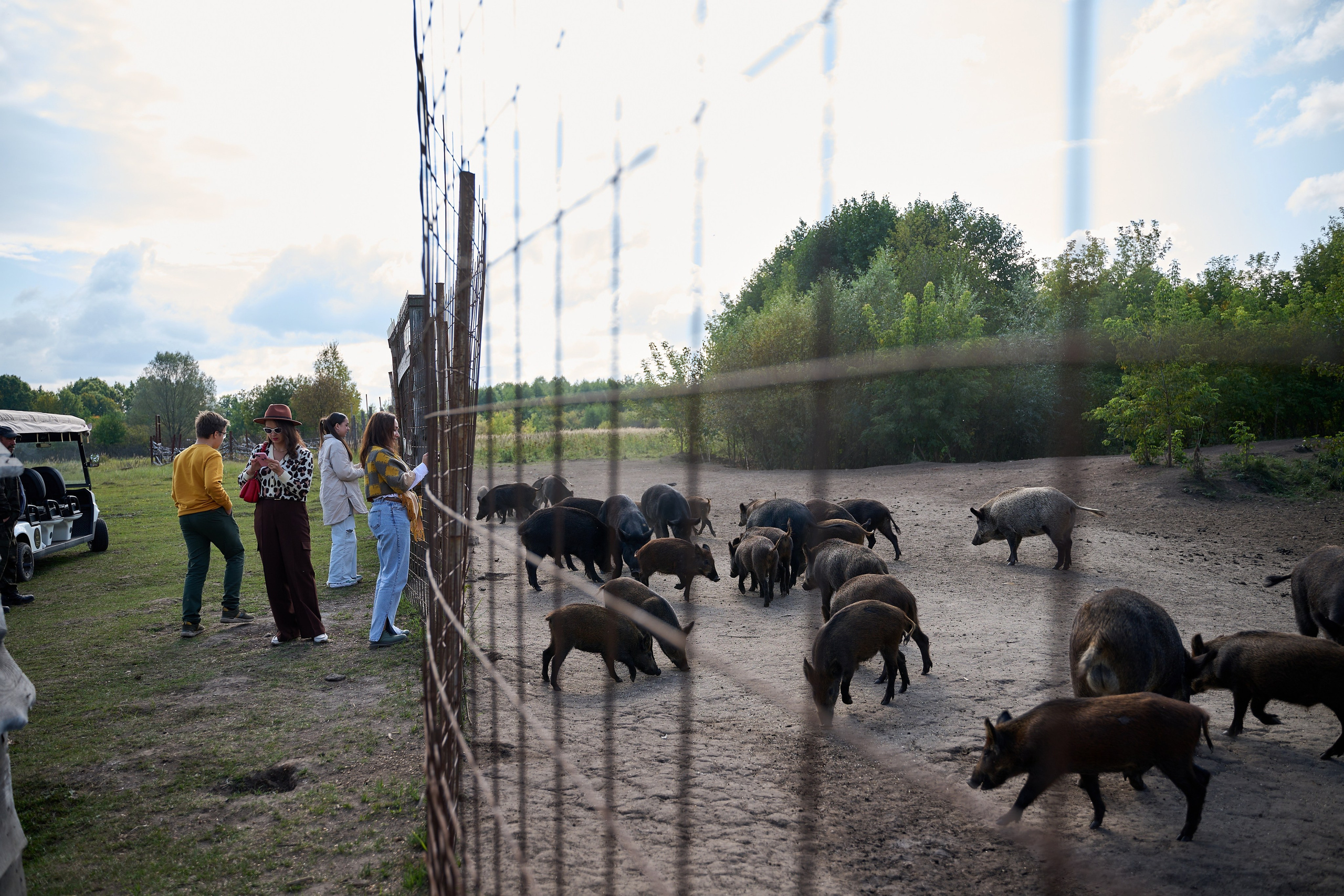 Кречет. Фотосъемка мероприятий