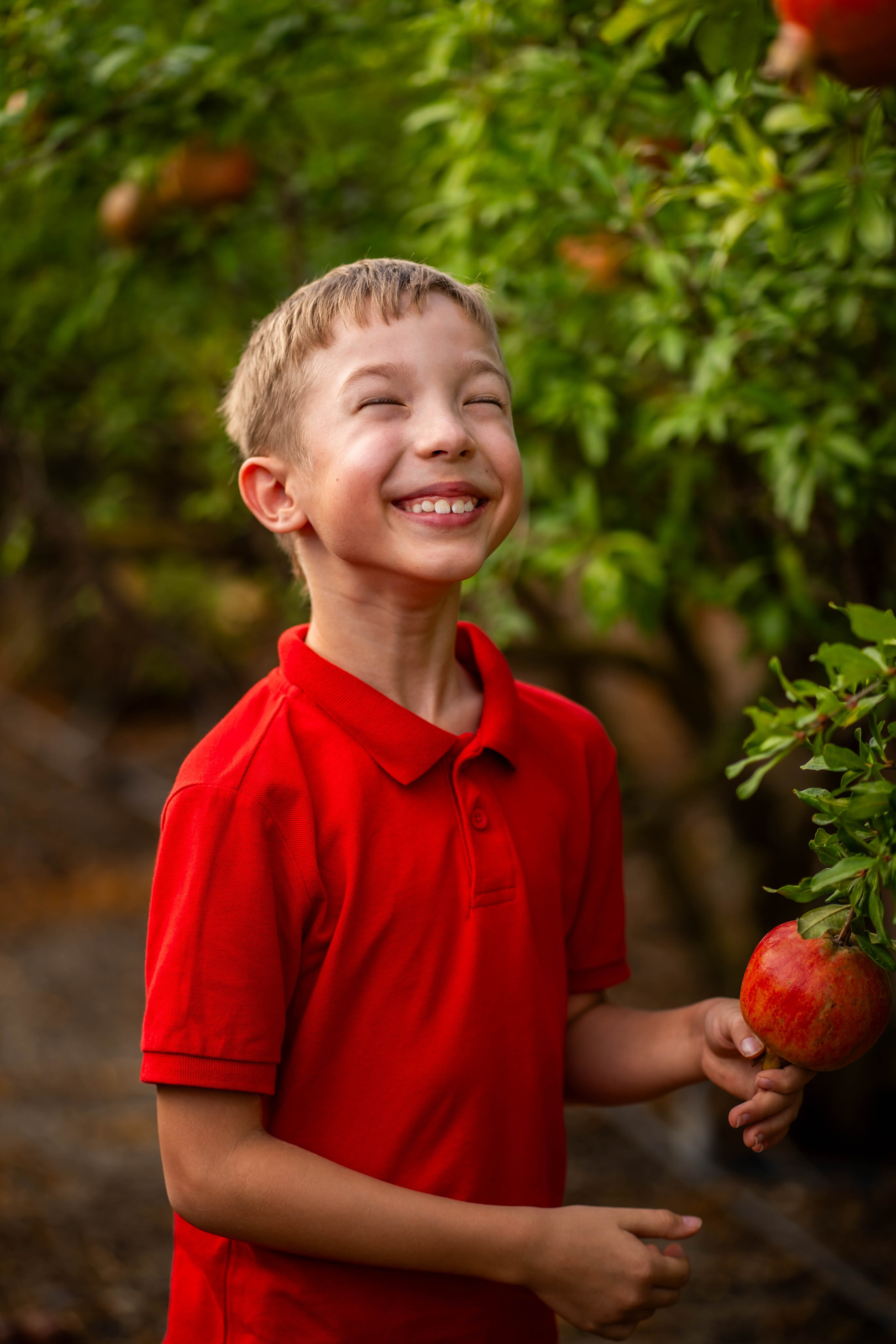 Гранатовый сад. Семейный и детский фотограф в Израиле и Москве Дорошок Надя