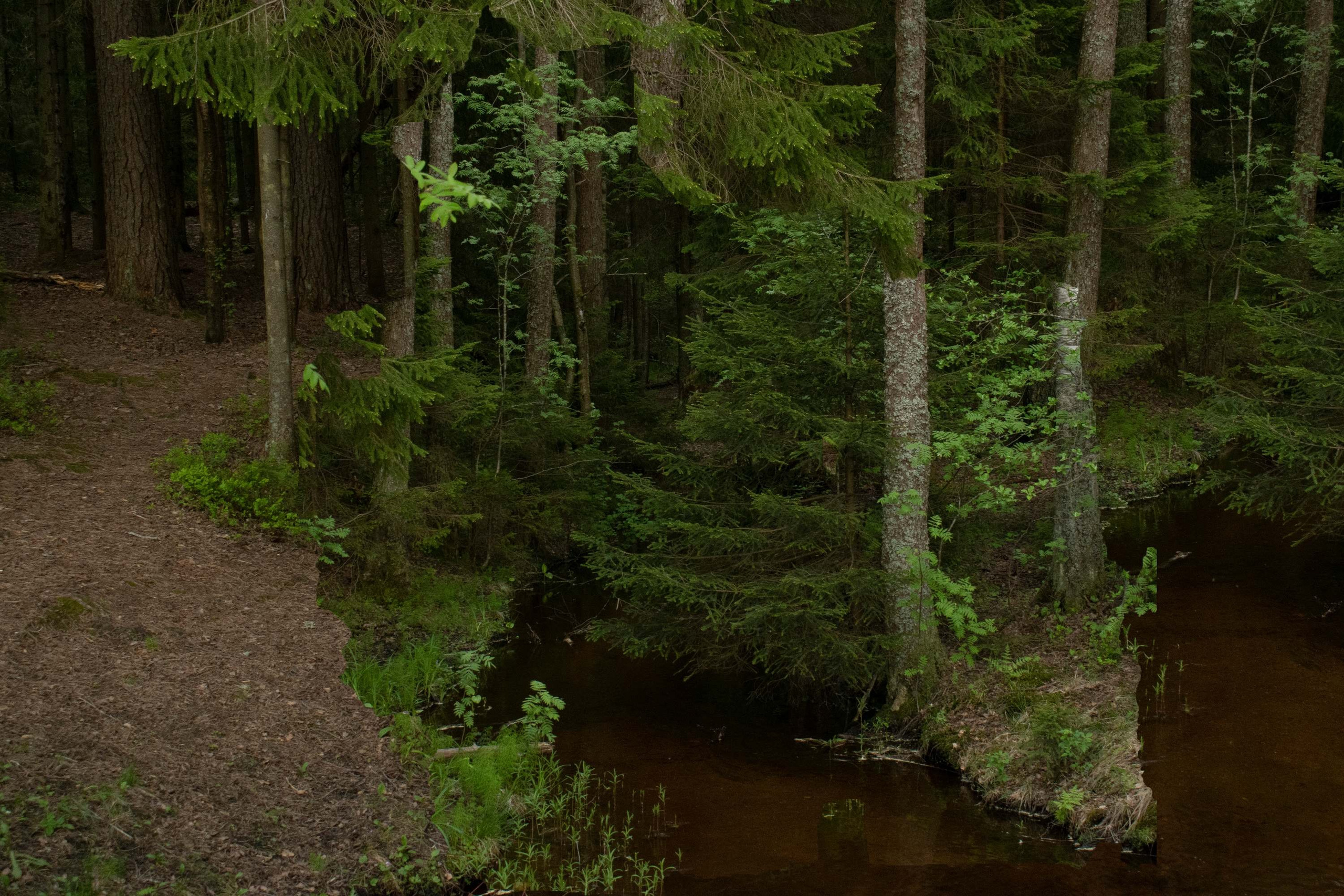 Displacements. Maria Pilkevich