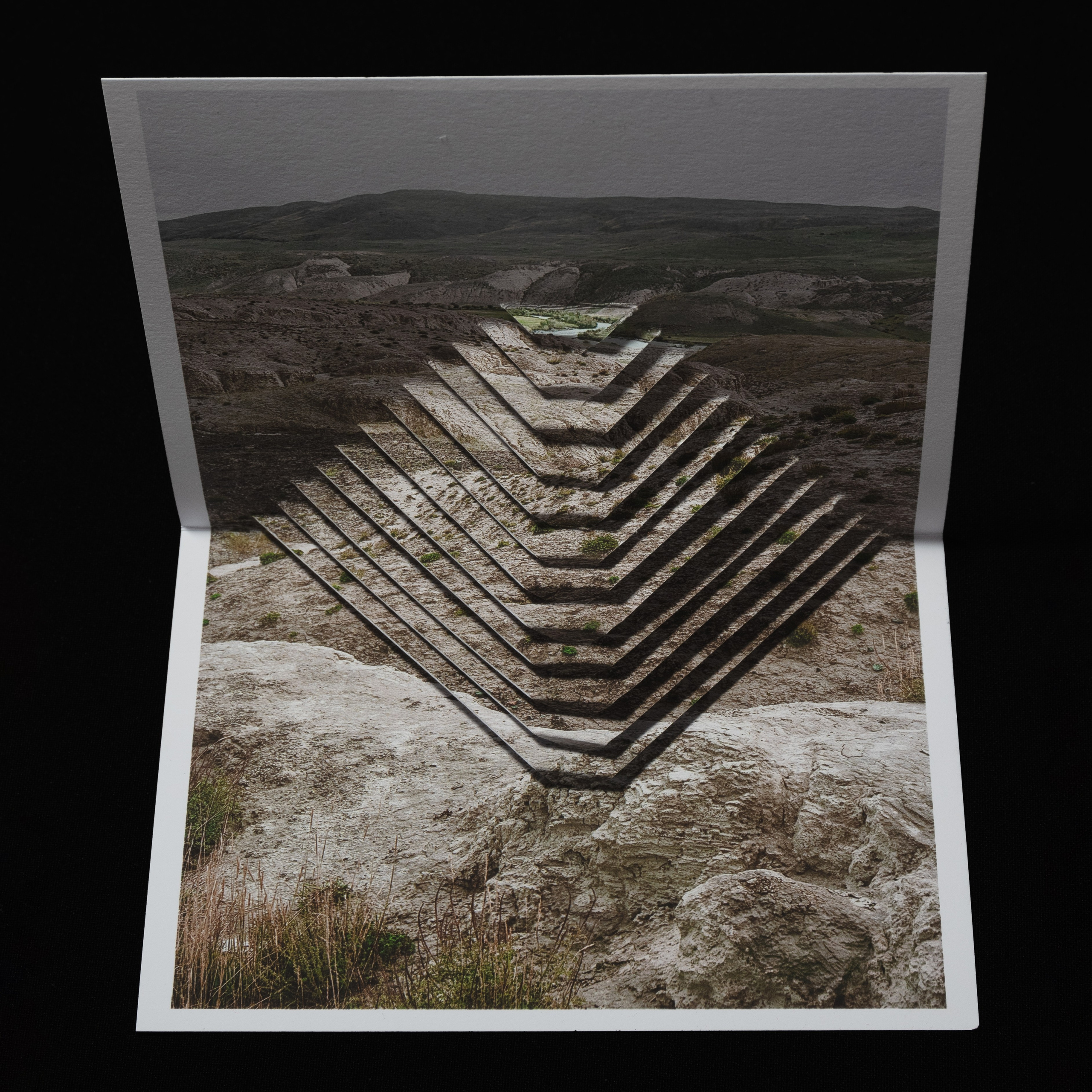 Chronicles of transformation. Irina Borodina