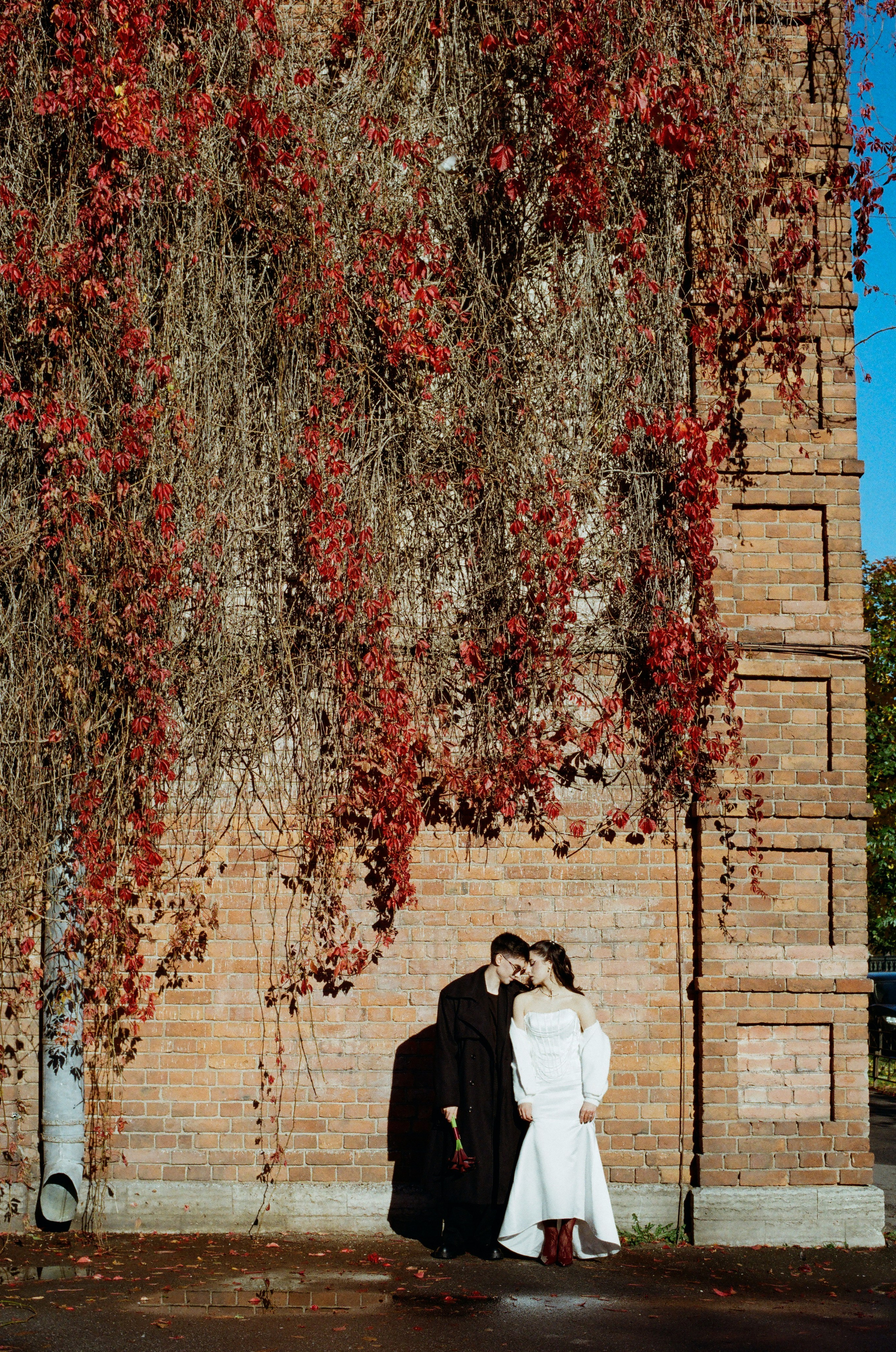 Свадебный фотограф в Петербурге Таша Вайб