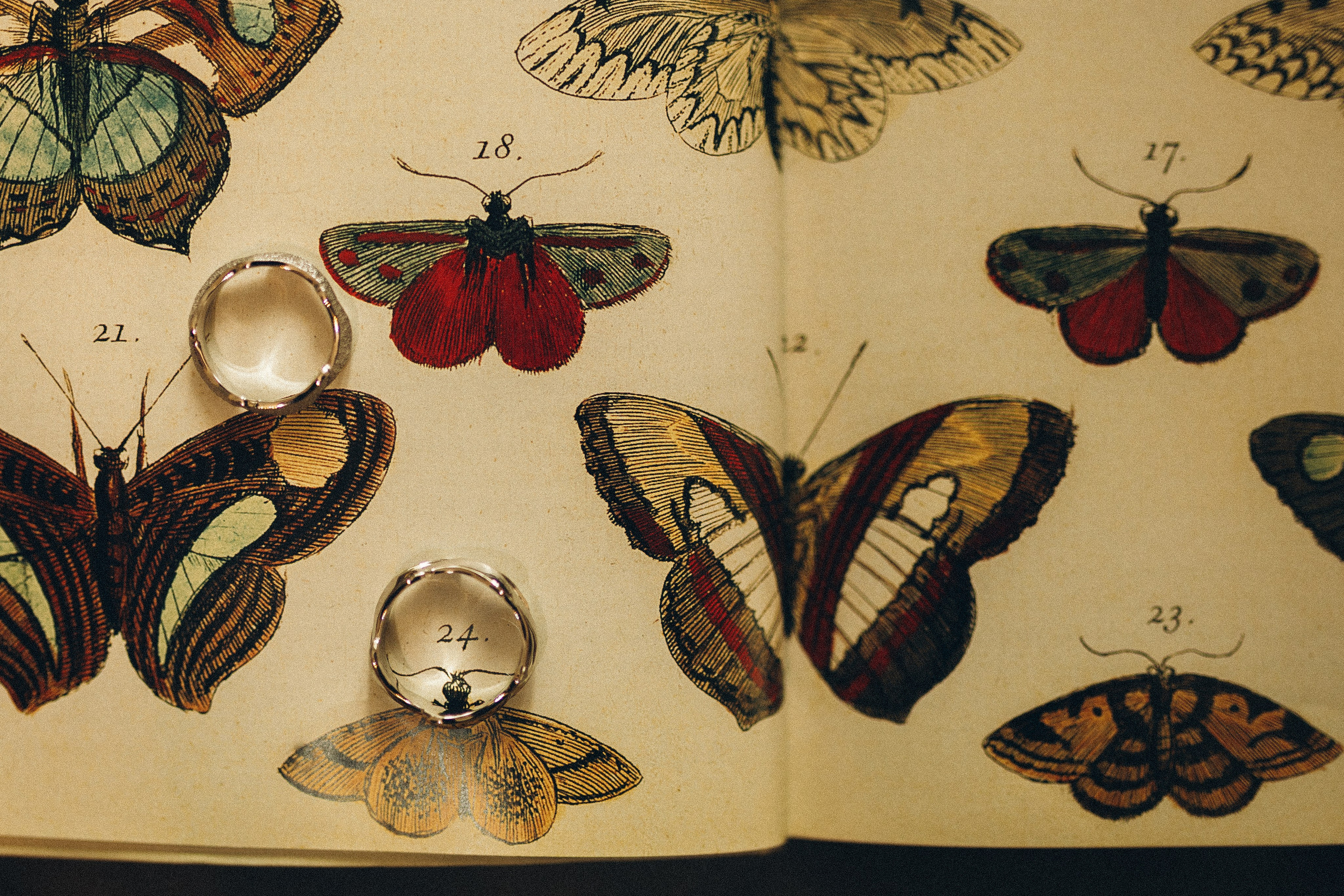 Фотограф Анастасия Платонова | Санкт-Петербург