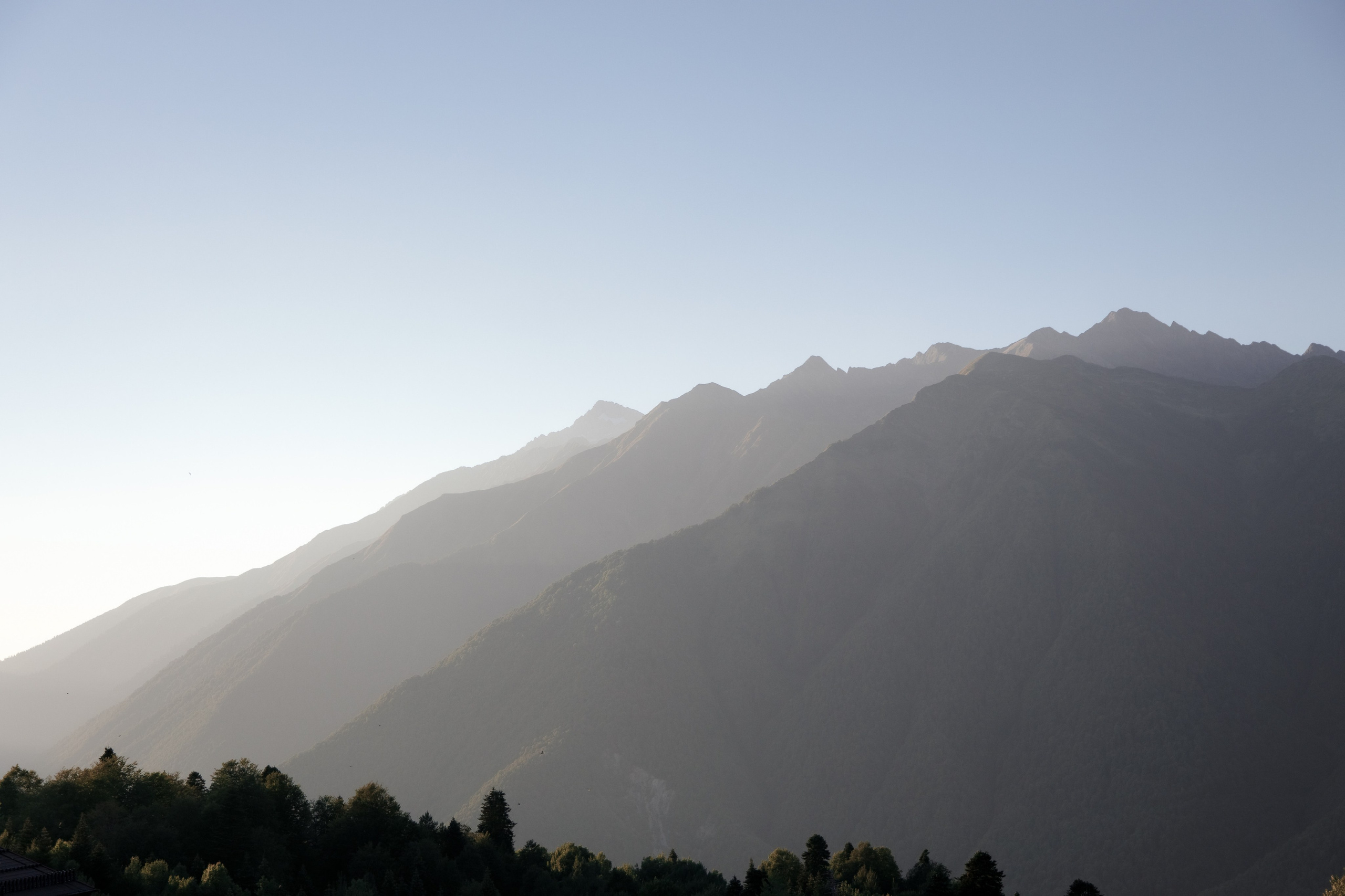 Свадьба в Сочи и в горах — фотограф Арманд. Свадебный фотограф в Абхазии, Сухум, Гагра, Сочи
