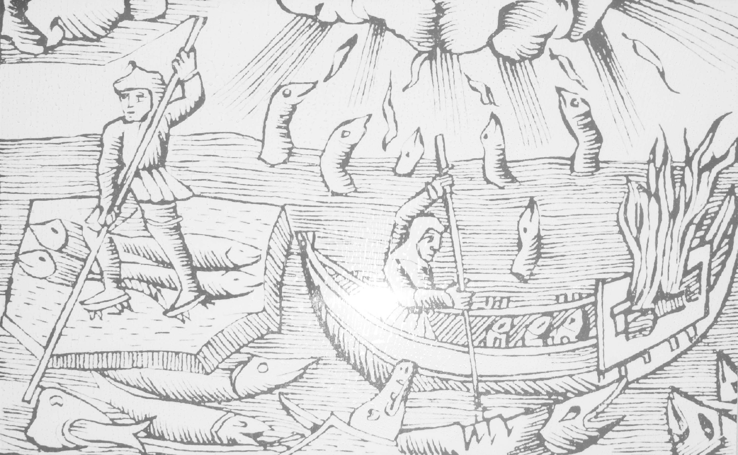 About fish. Maria Pilkevich