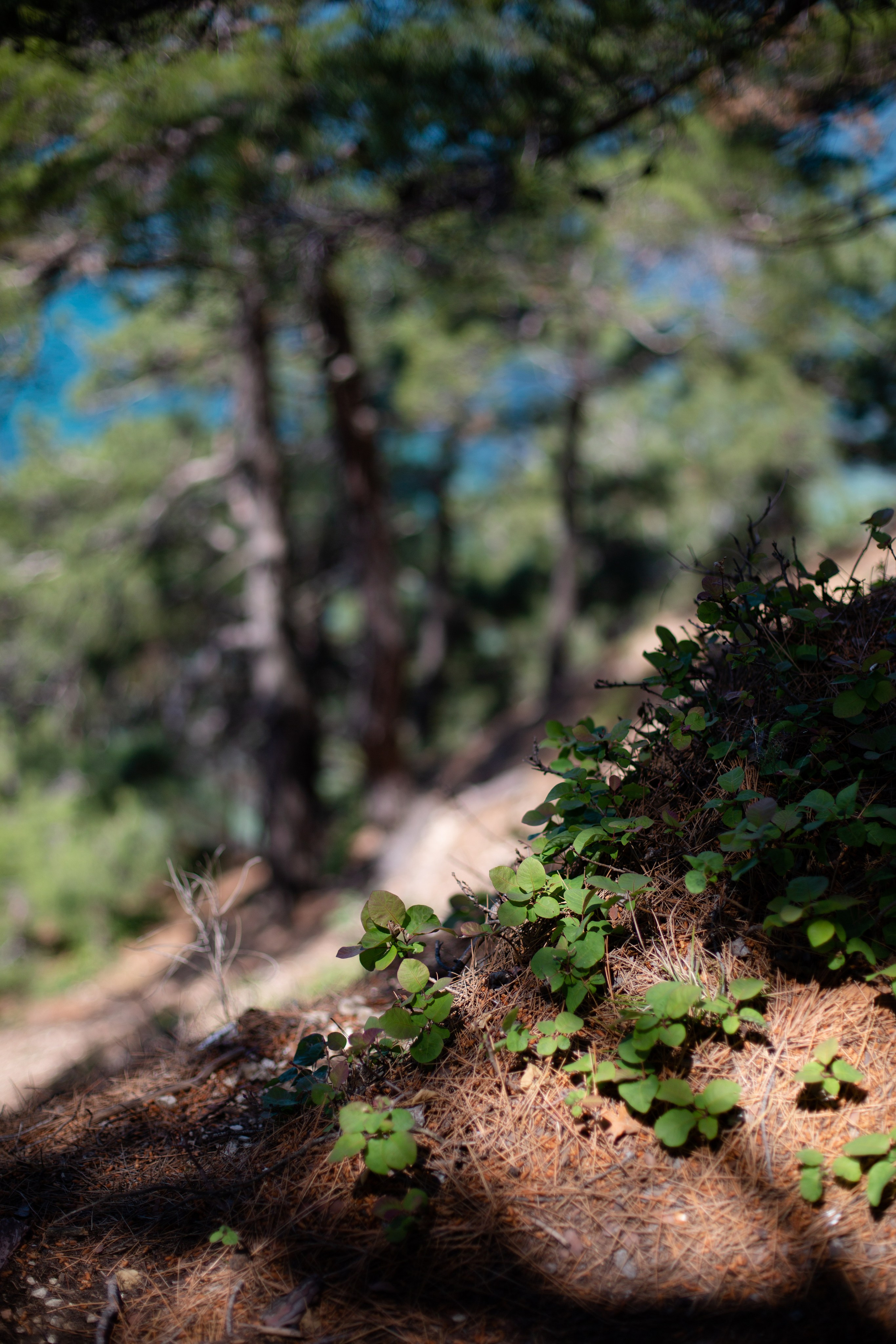 Дороги земли ветров. Портретный фотограф в Москве и Геленджике Кирилл Вахитов