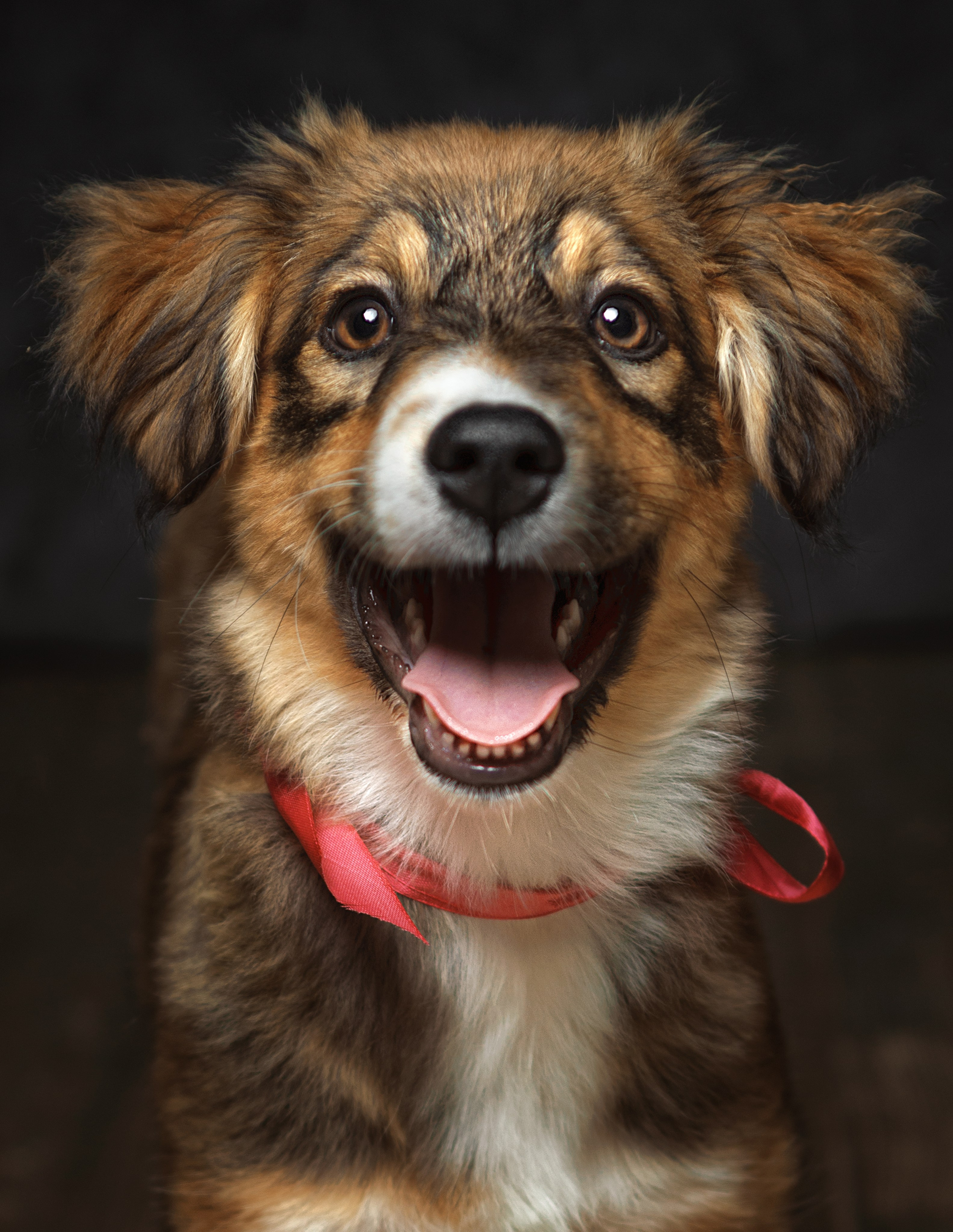 ДРУГ, НАЙДИСЬ. Антон Тимошевский, профессиональный портретный фотограф в Москве и Орле