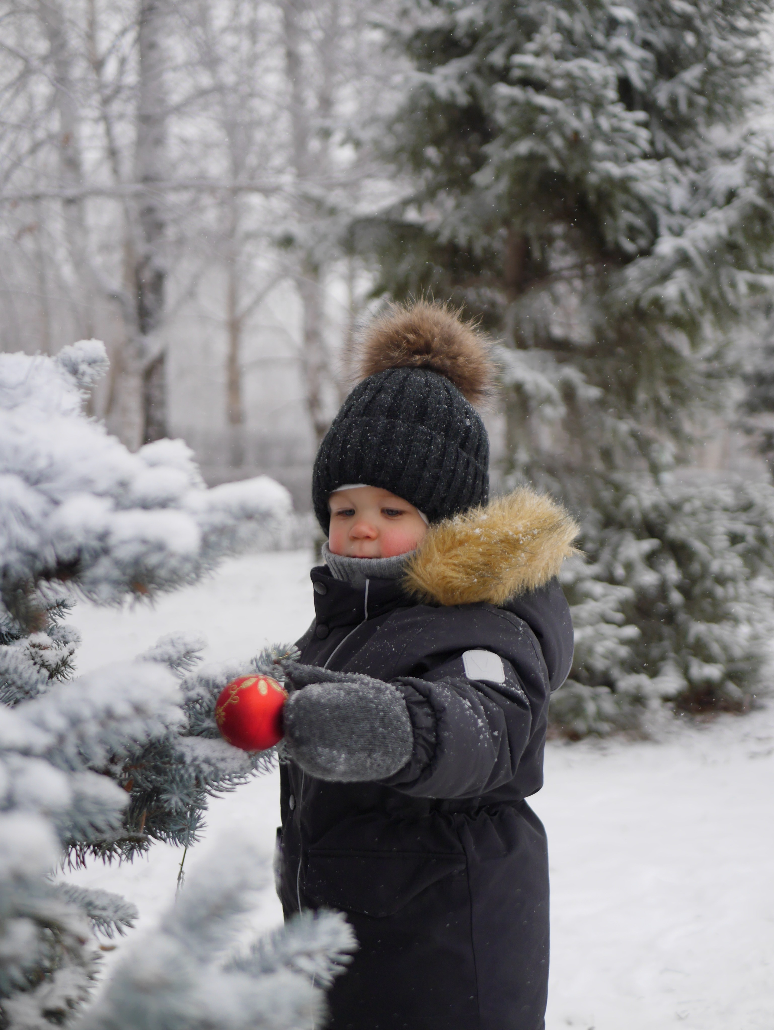 Зимние фото
