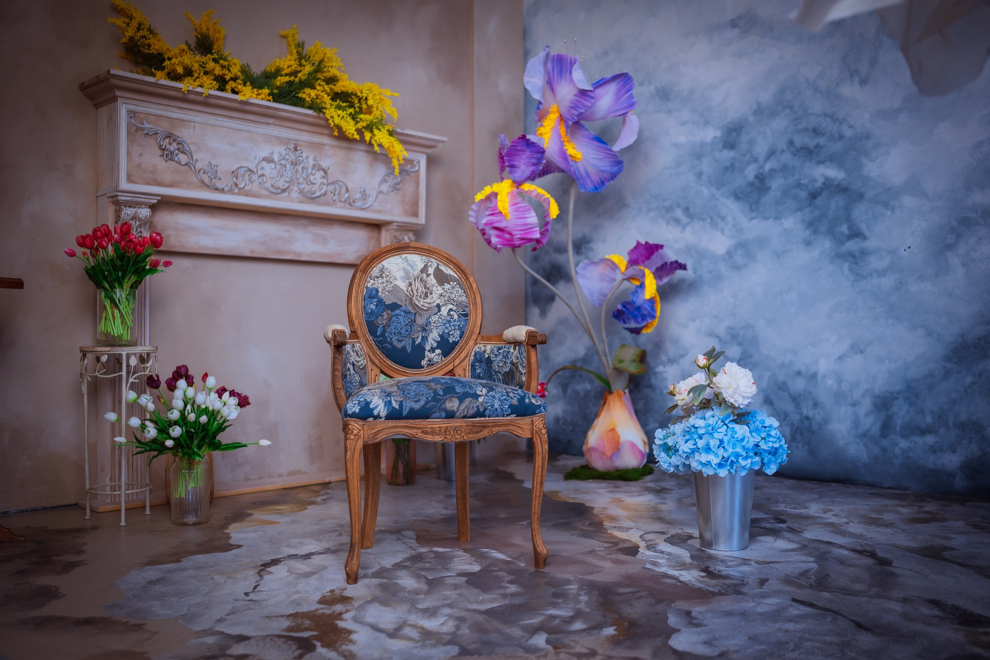 Фотостудия интерьерная в Туле — Давинчи |Davinci