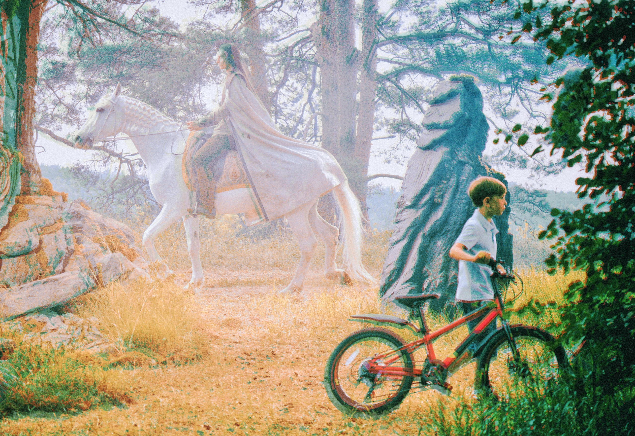 Art of now. See the moment and catche. commercial and reportage