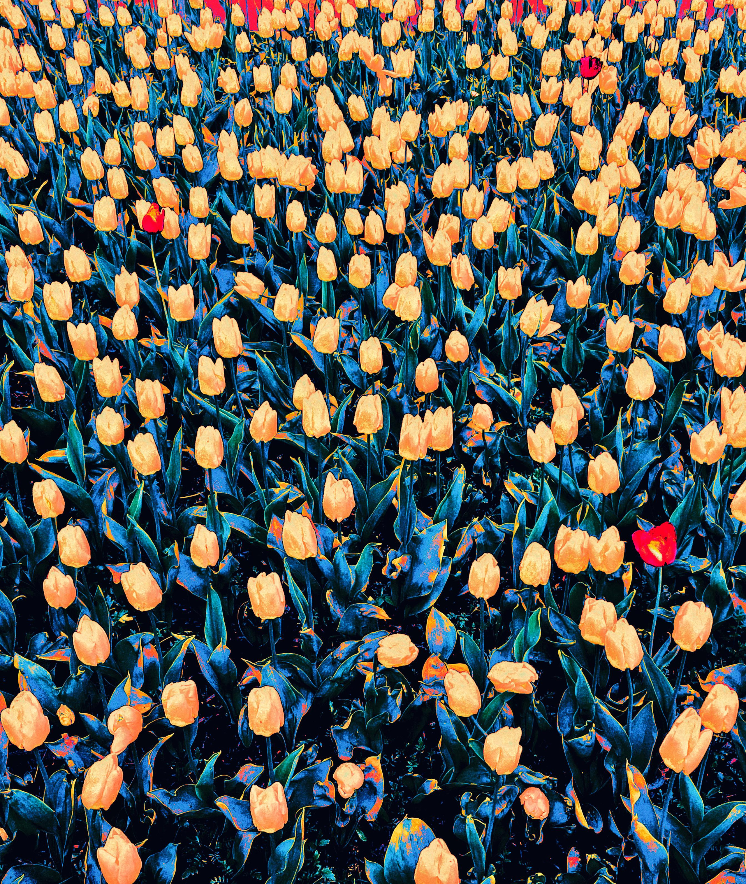 Art of now. See the moment and catche. commercial and reportage