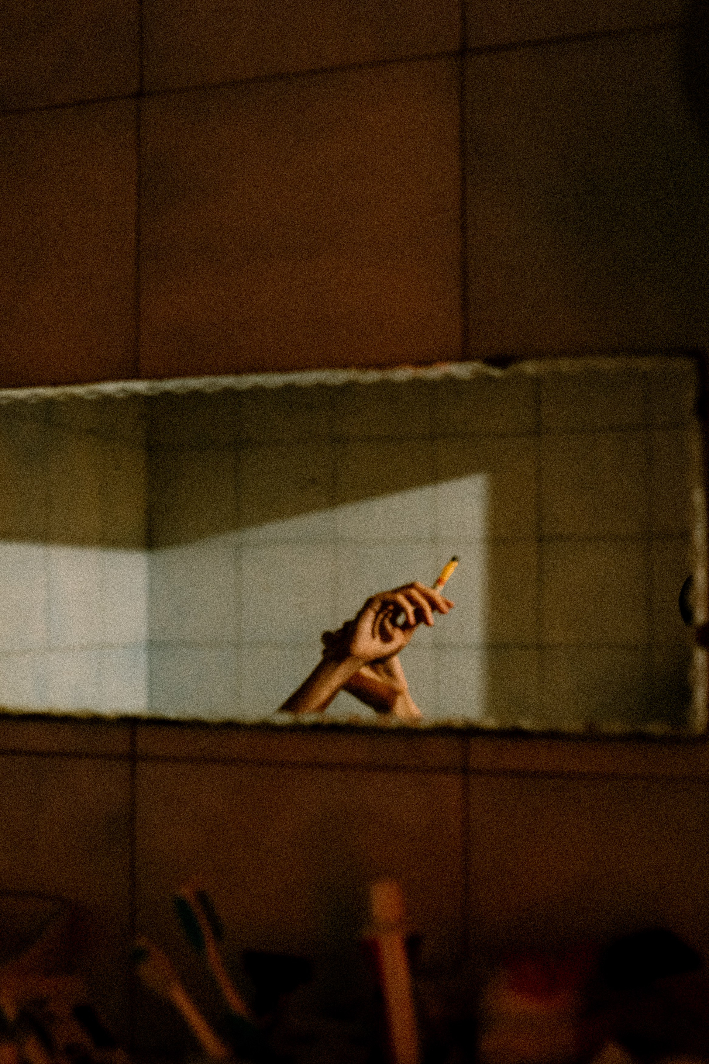 Мир, где рожден помидор. Андрейко Надежда