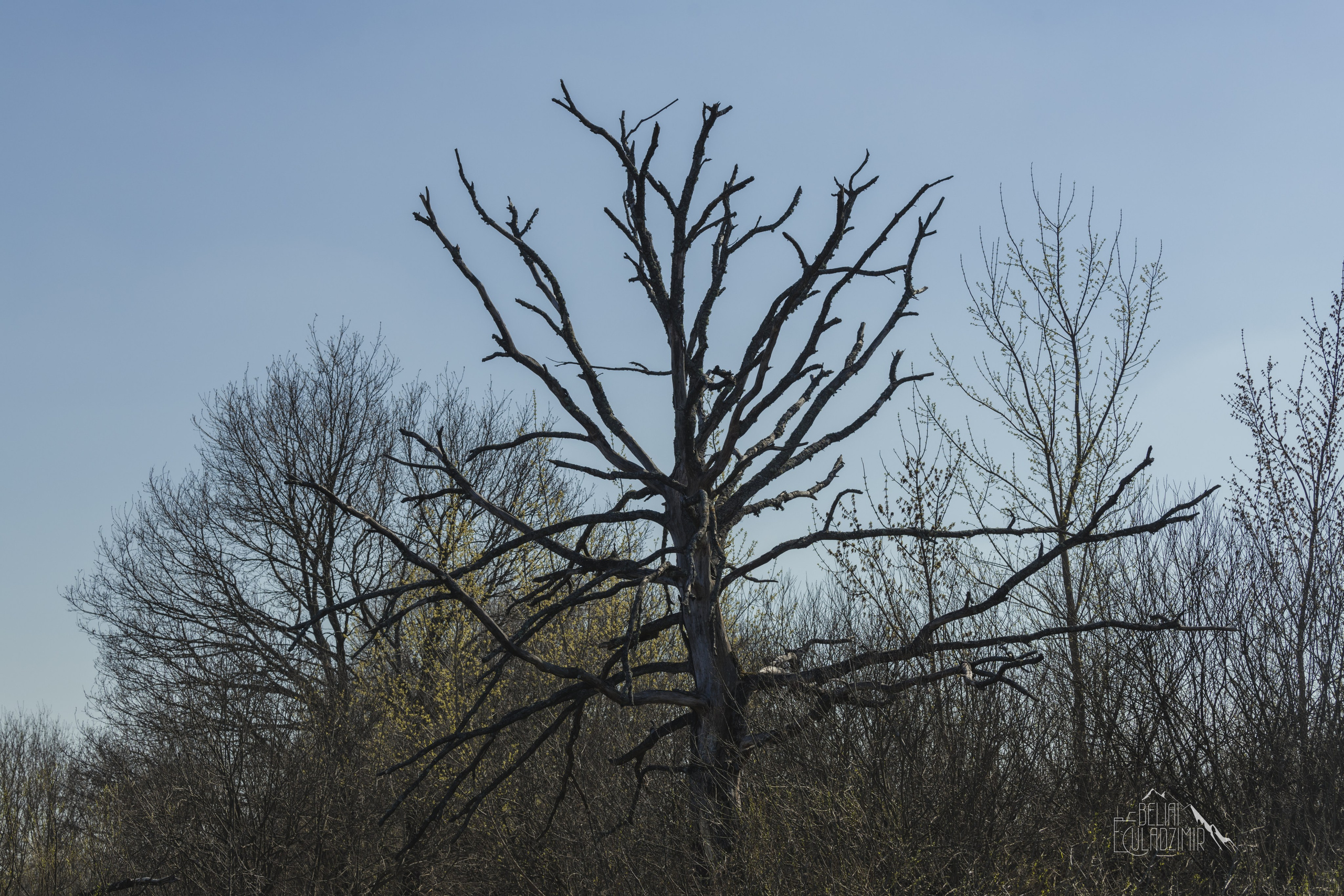 Сплав по реке Тремля 04.04.2026. Репортажный фотограф Владимир Беляй