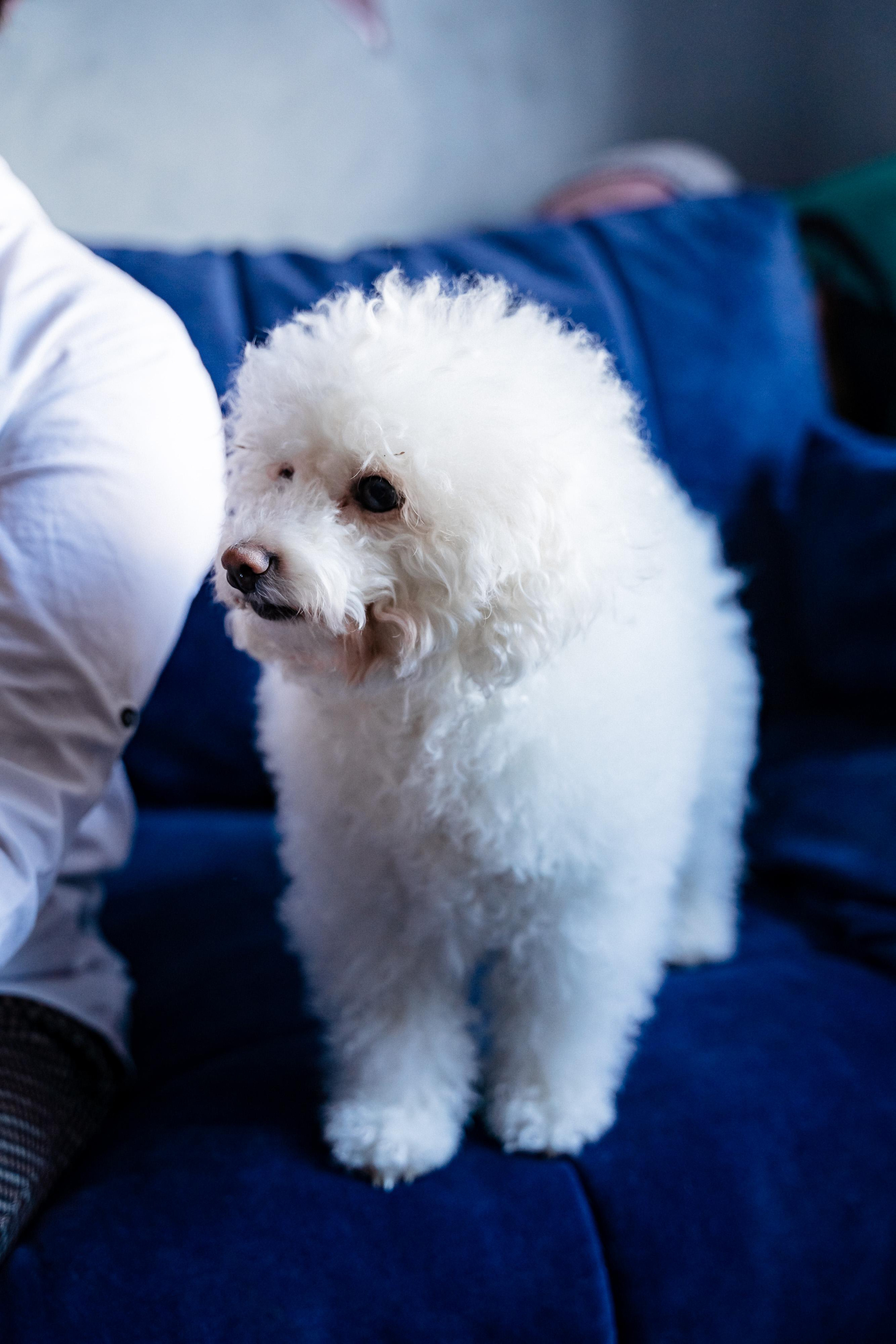 Домашняя фотосессия для Ксении и ее семьи