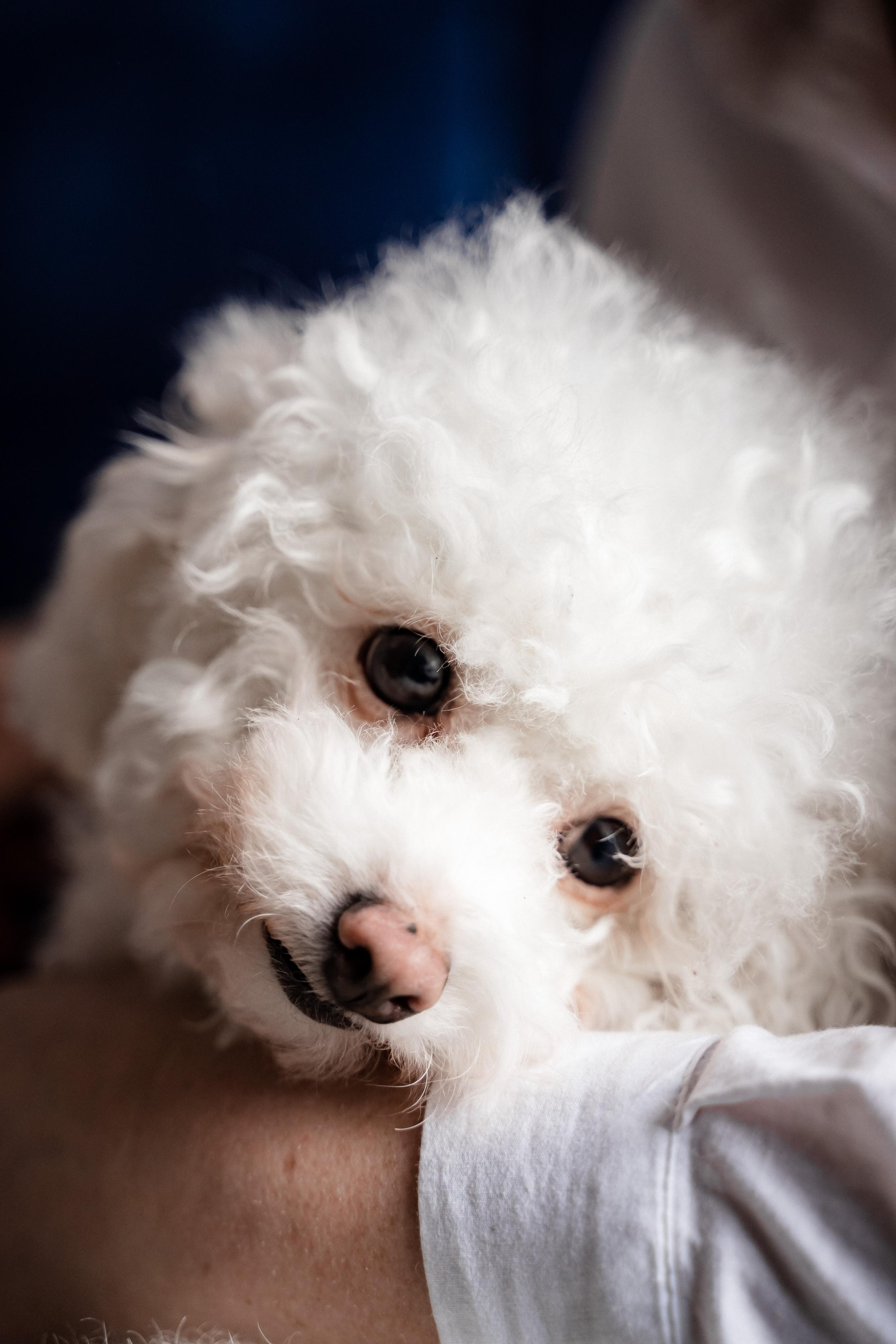 Домашняя фотосессия для Ксении и ее семьи