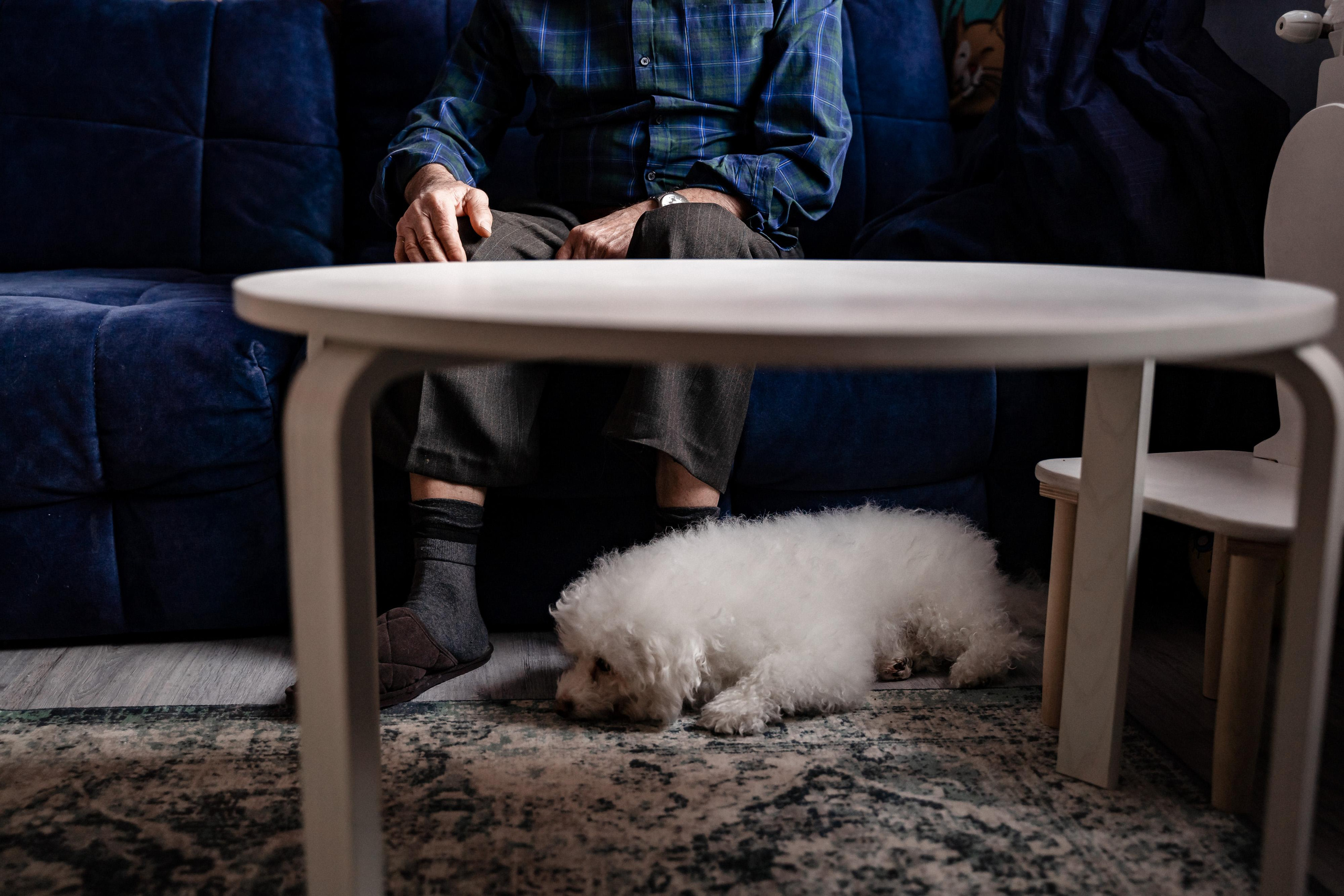 Домашняя фотосессия для Ксении и ее семьи