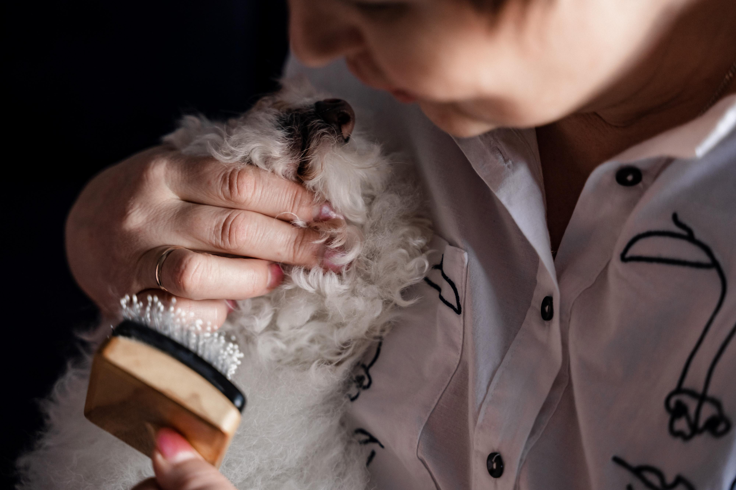 Домашняя фотосессия для Ксении и ее семьи