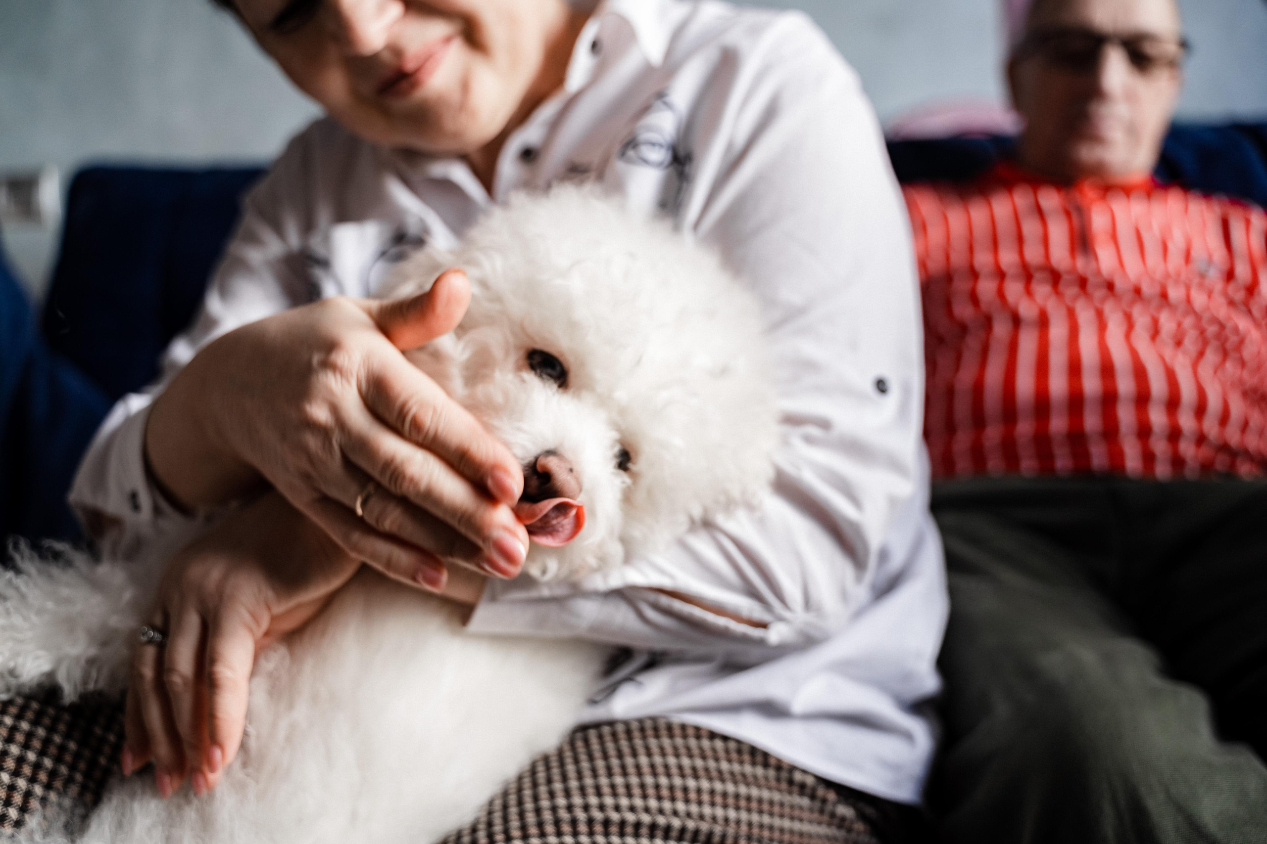 Домашняя фотосессия для Ксении и ее семьи