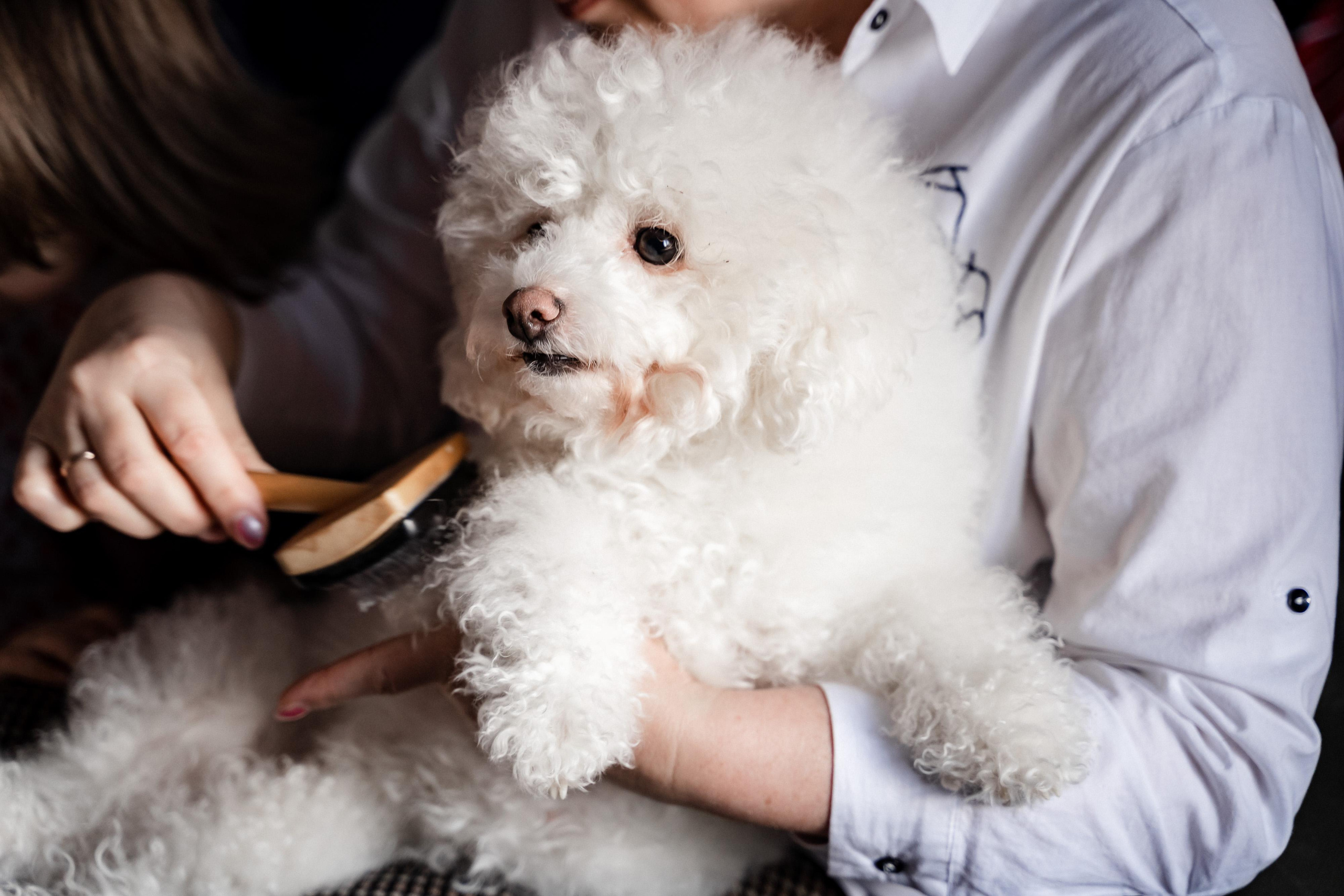 Домашняя фотосессия для Ксении и ее семьи
