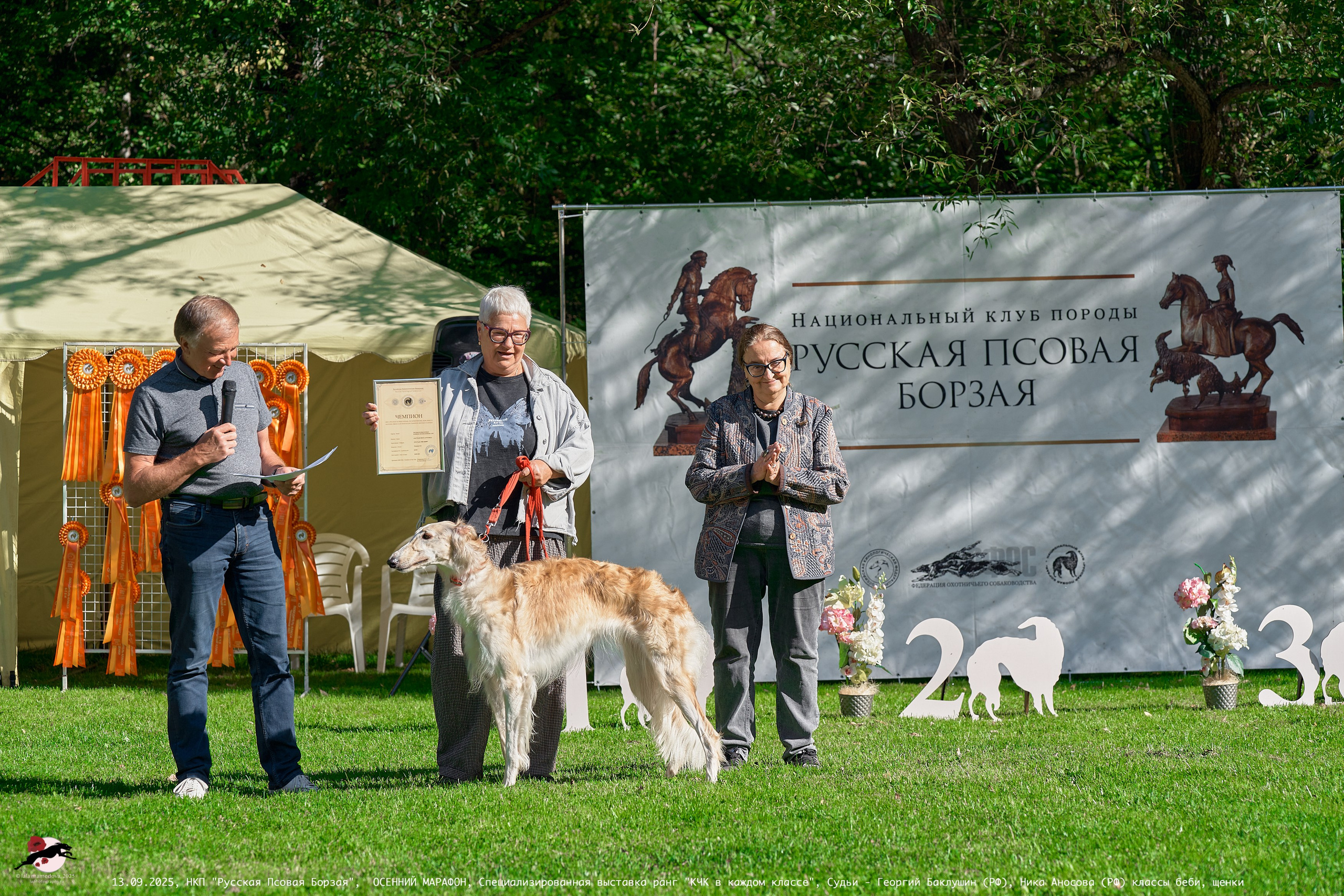 ОСЕННИЙ МАРАФОН | Специализированная выставка породы Русская Псовая Борзая ранг "КЧК в каждом классе"