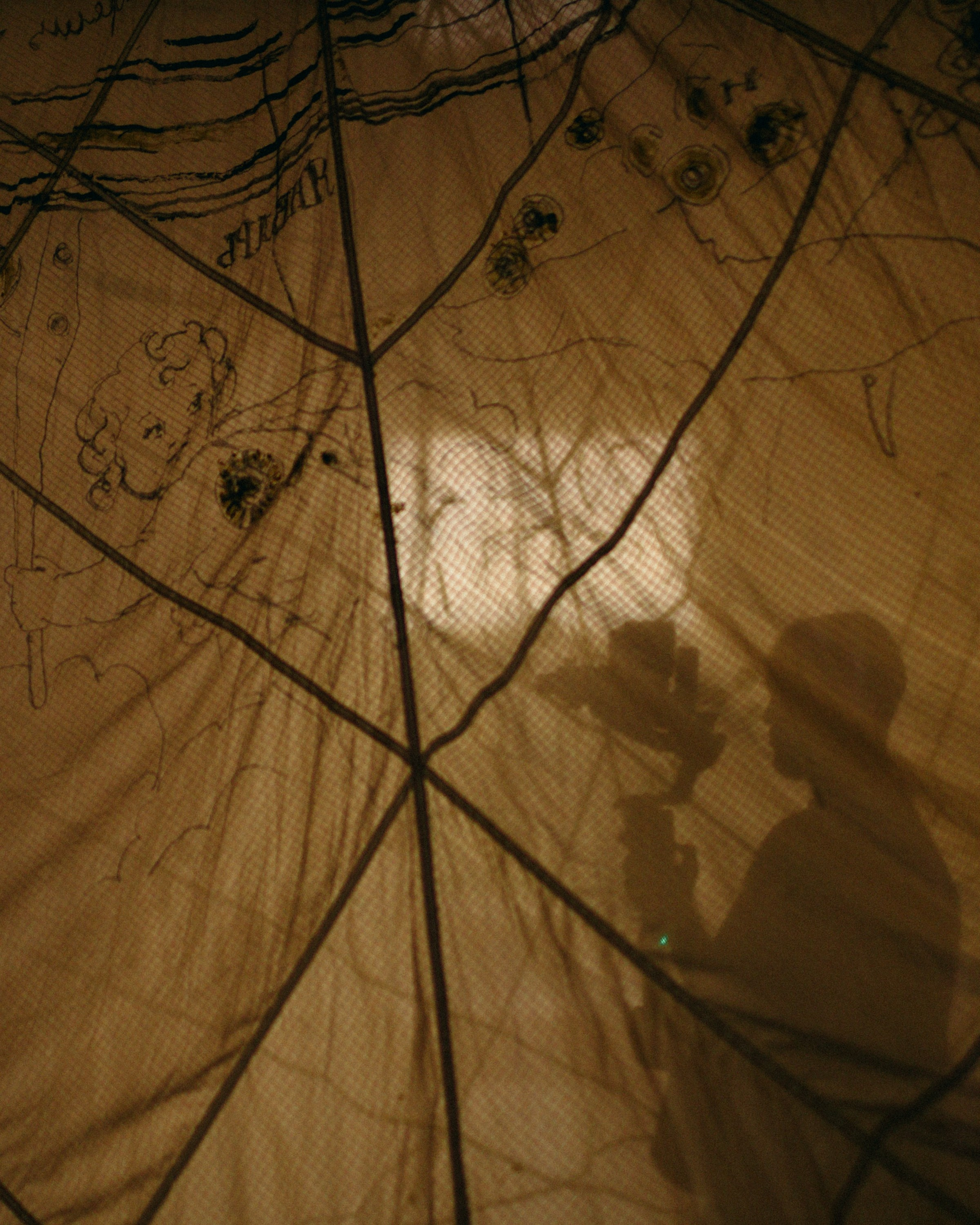 Небесные Нити. Репортажный и портретный фотограф во Владимире Сергей Кравцов