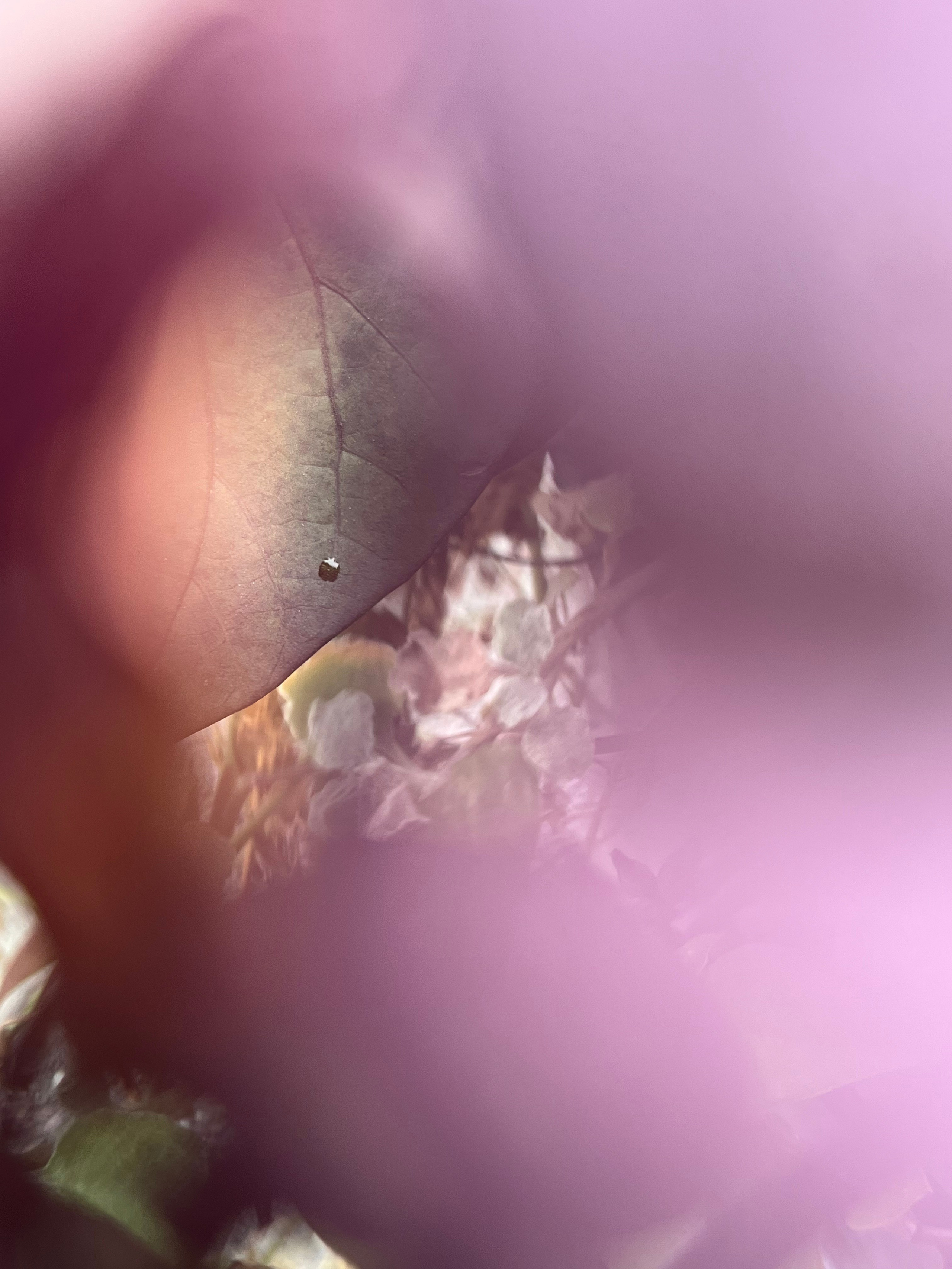 Пробуждение