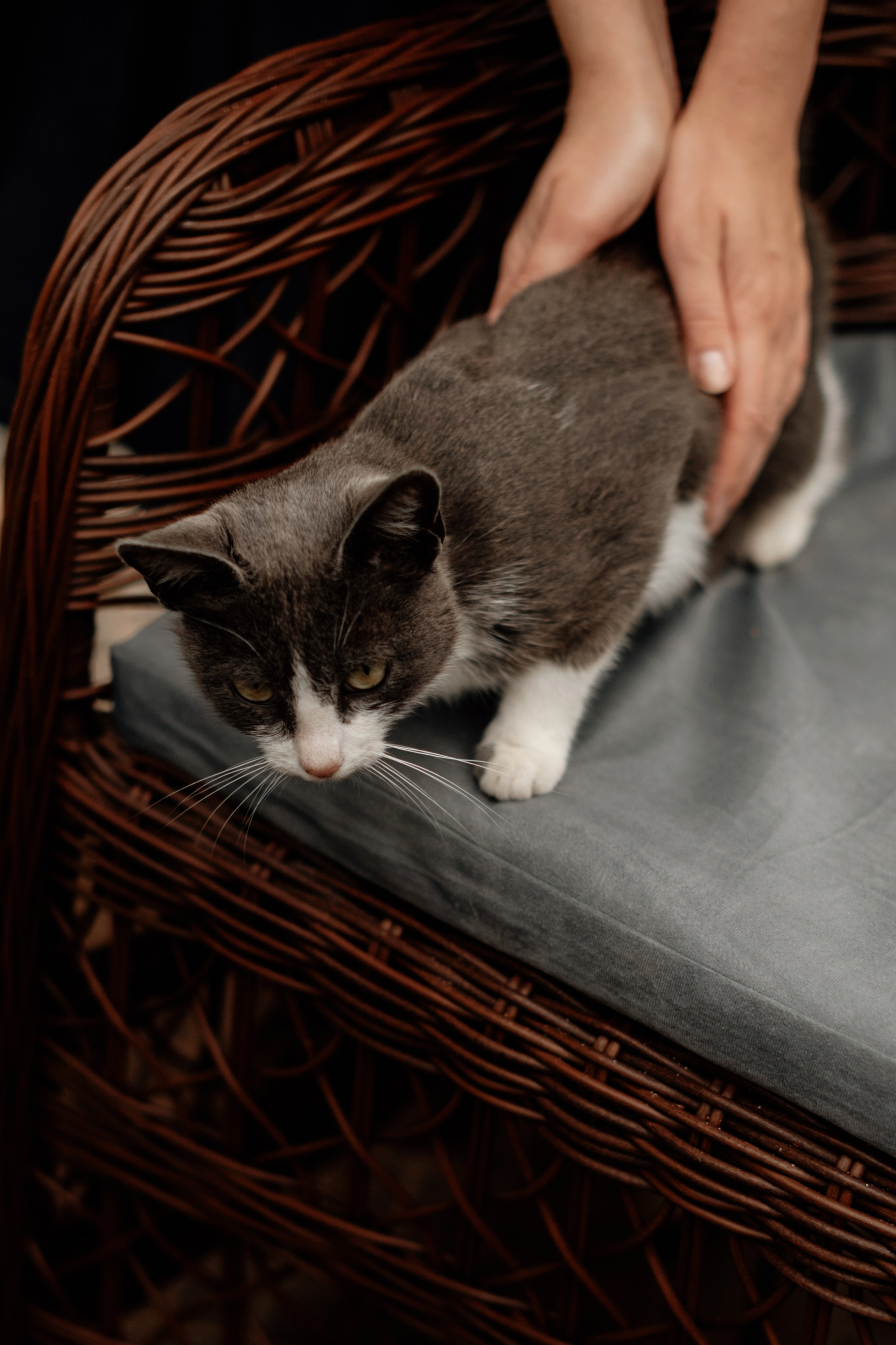 Фотосессия Ростов Великий. Фотограф Ростов Великий Юлия Кузьмина Фотограф на крещение Ярославль