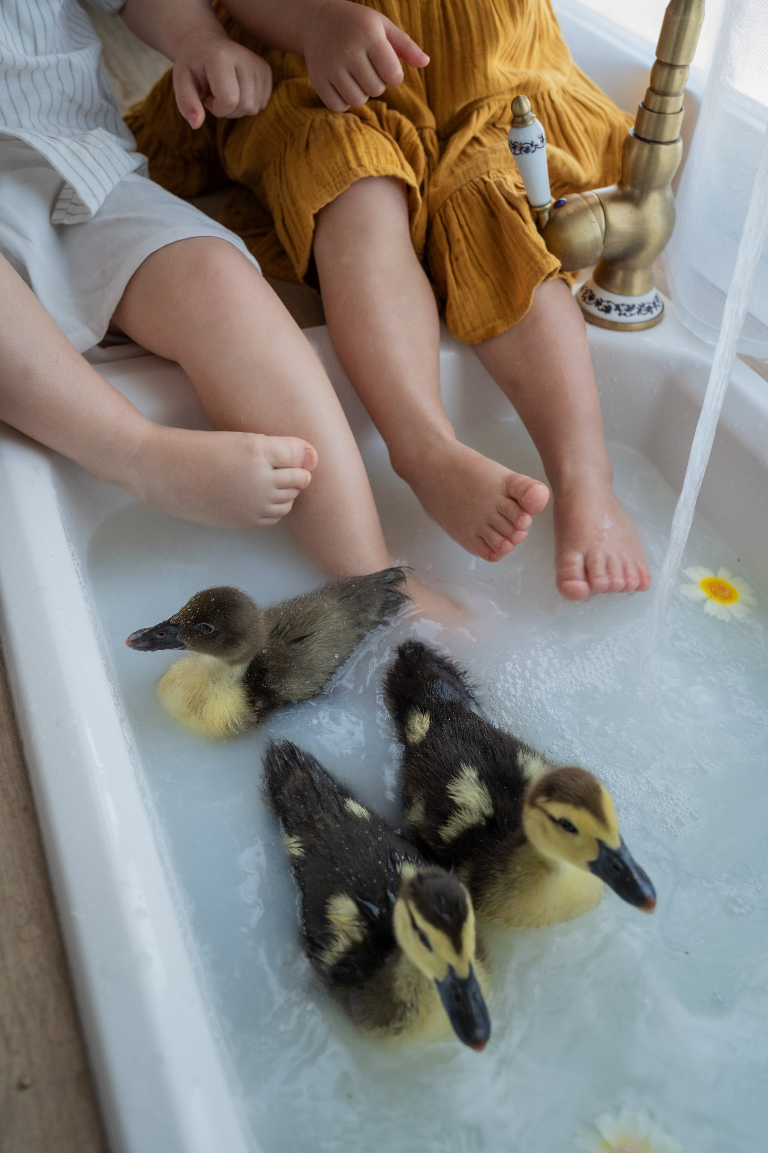 Семейная фотосессия в Аликанте | Детский фотограф. Фотограф в Аликанте СветЛана Константинова