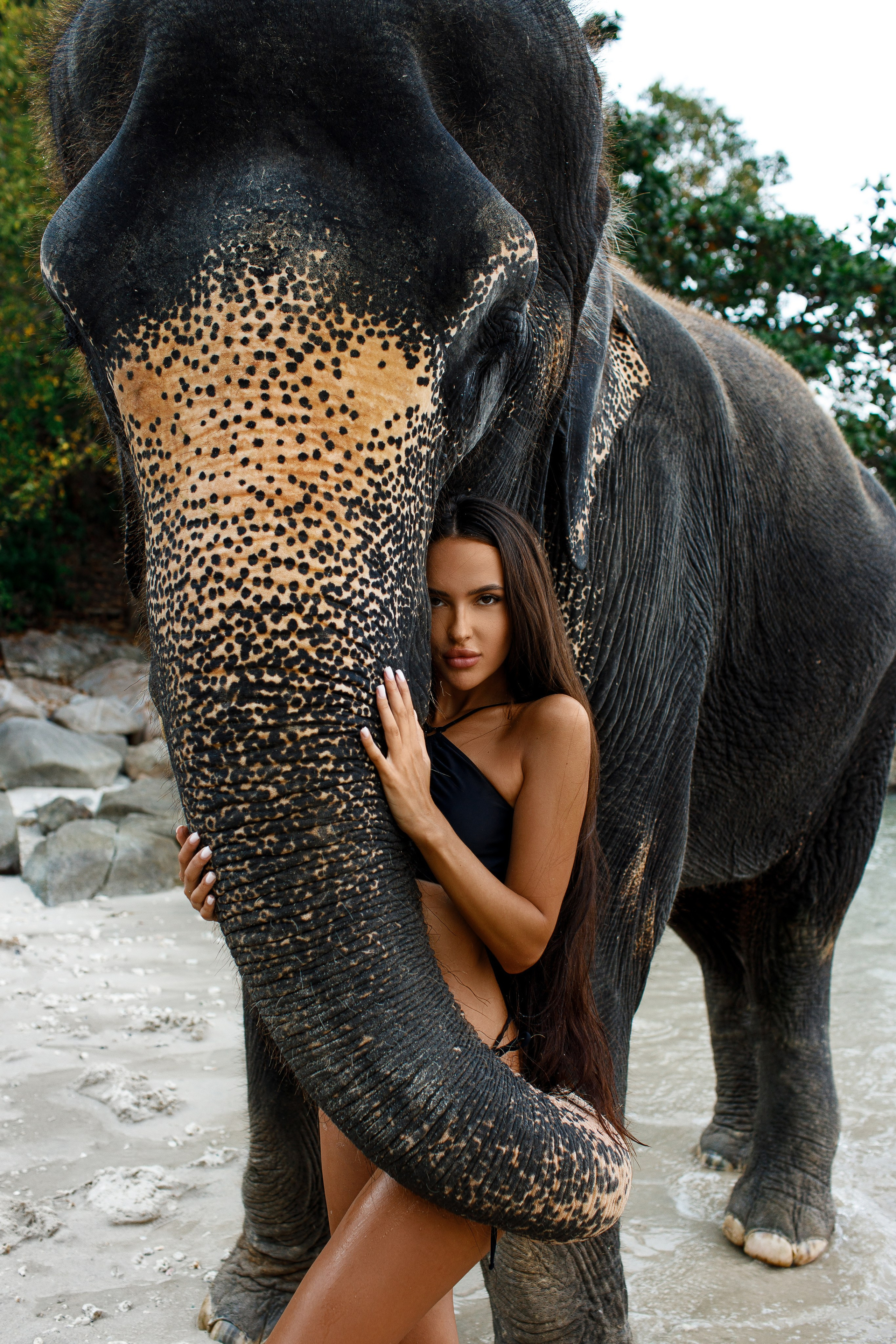 Фотосессия со слонами на Пхукете. Фотограф на Пхукете в Таиланде