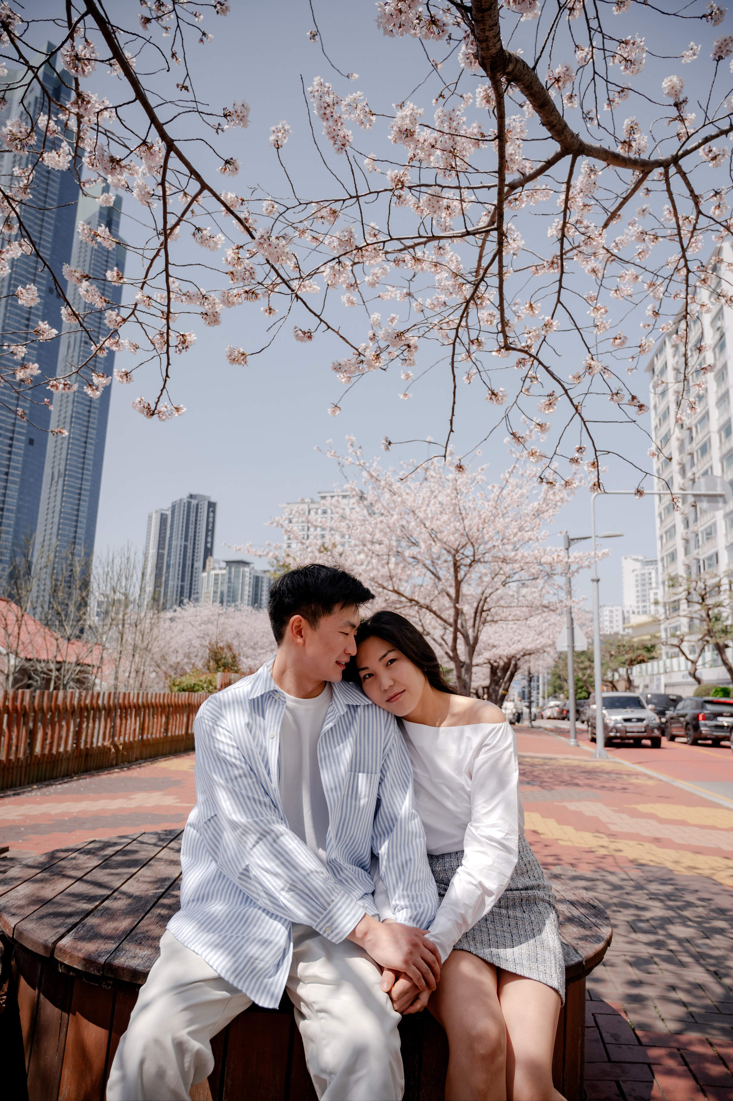 釜山樱花树下的女性肖像摄影 韩国春季写真