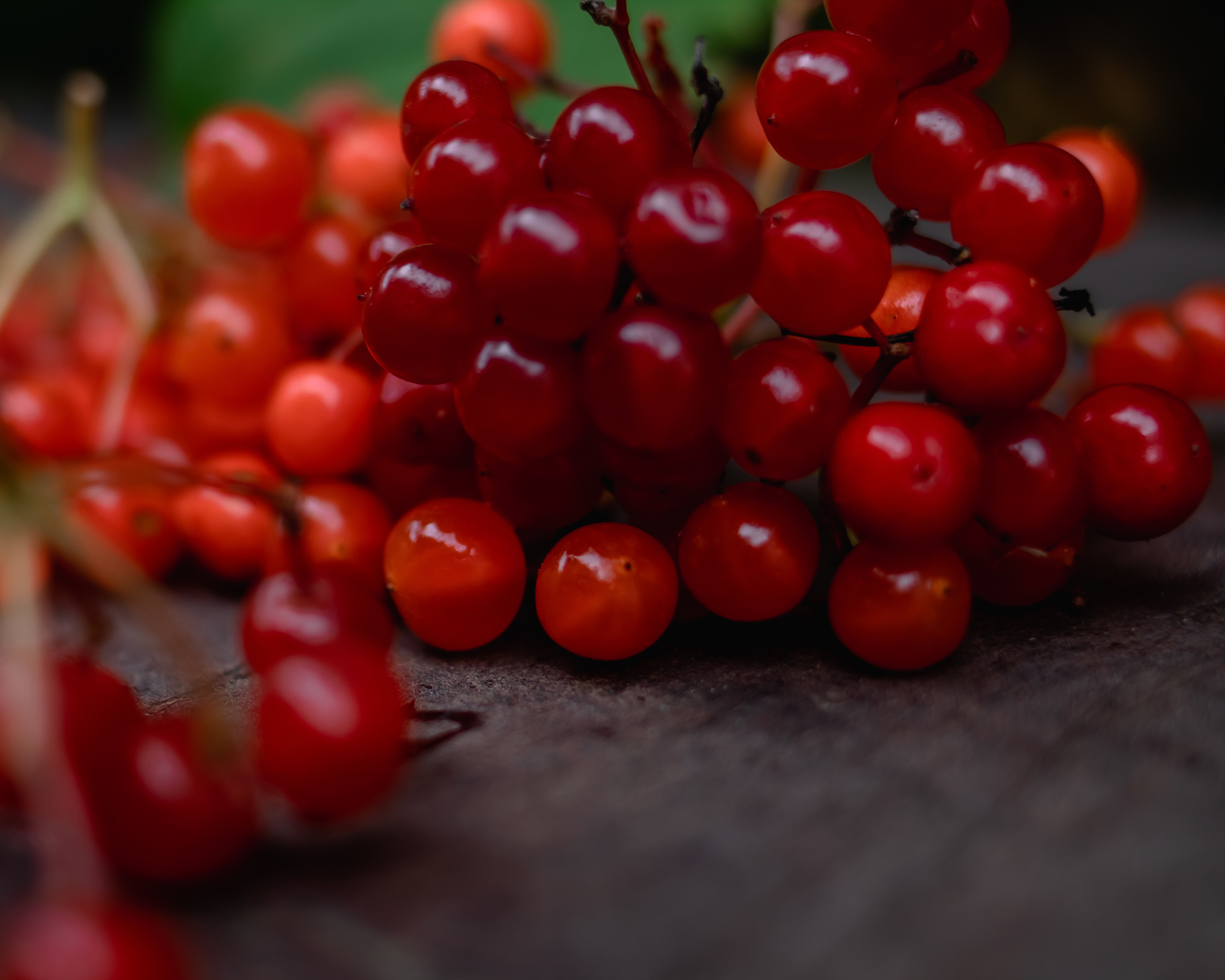 5 минут до Осени. Семейный фотограф в Минске Приболовец Светлана