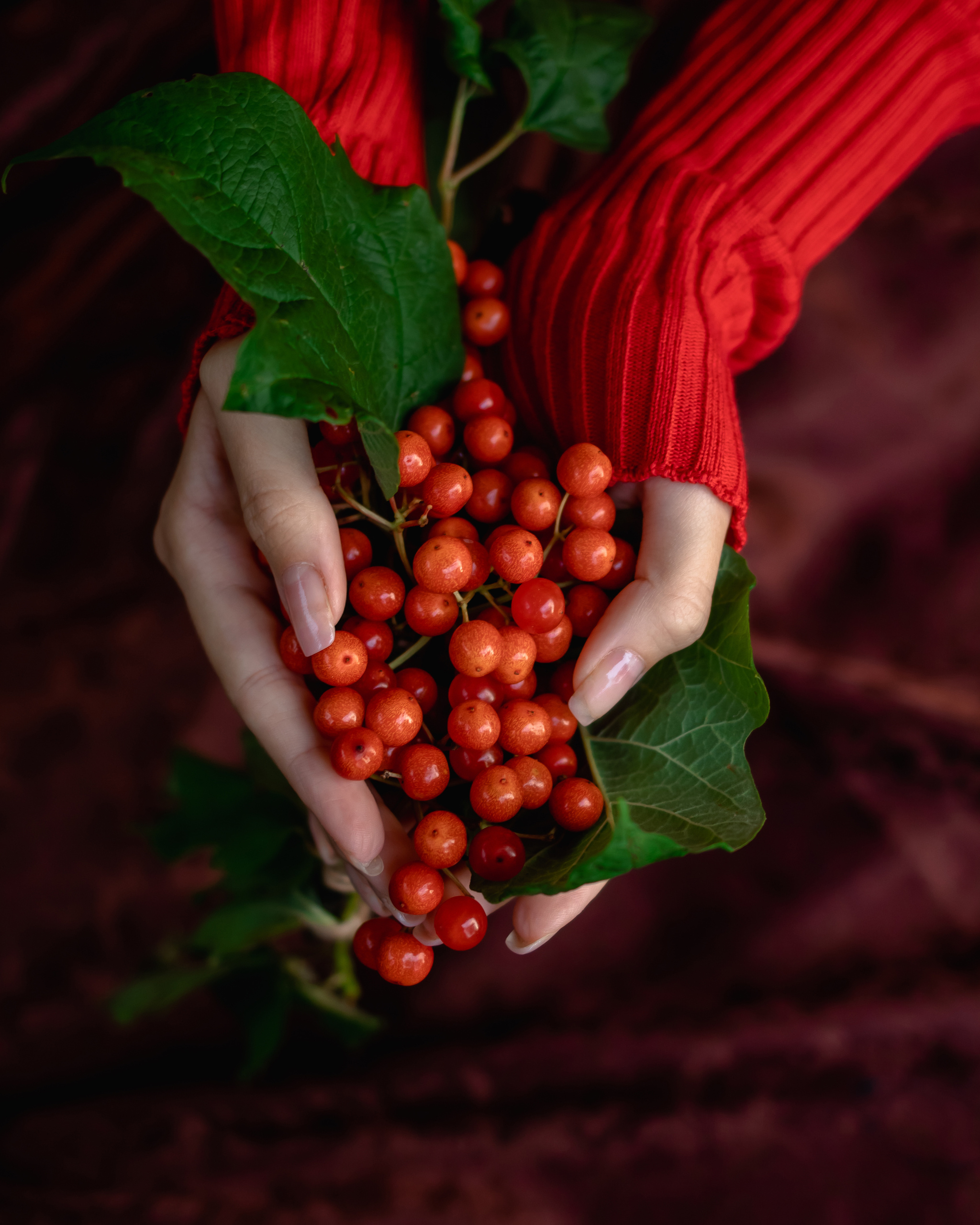 5 минут до Осени. Семейный фотограф в Минске Приболовец Светлана