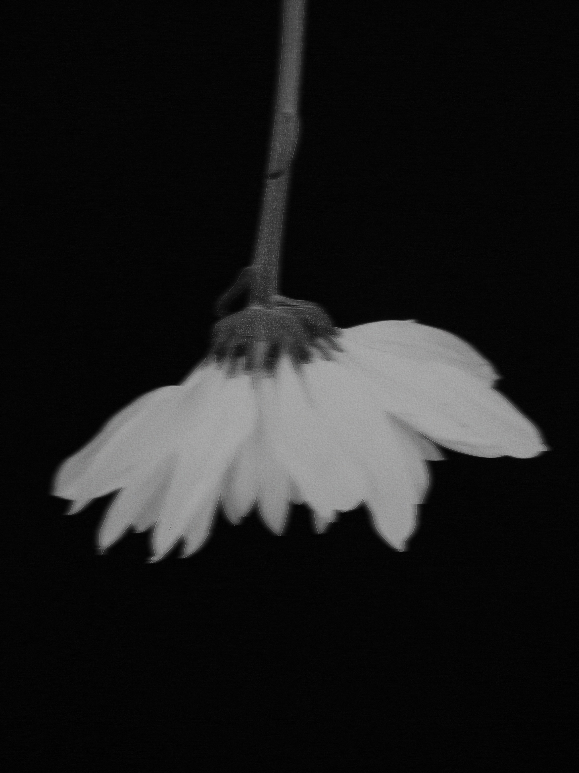 Фотограф из Санкт-Петербурга/Катерина Зайцева