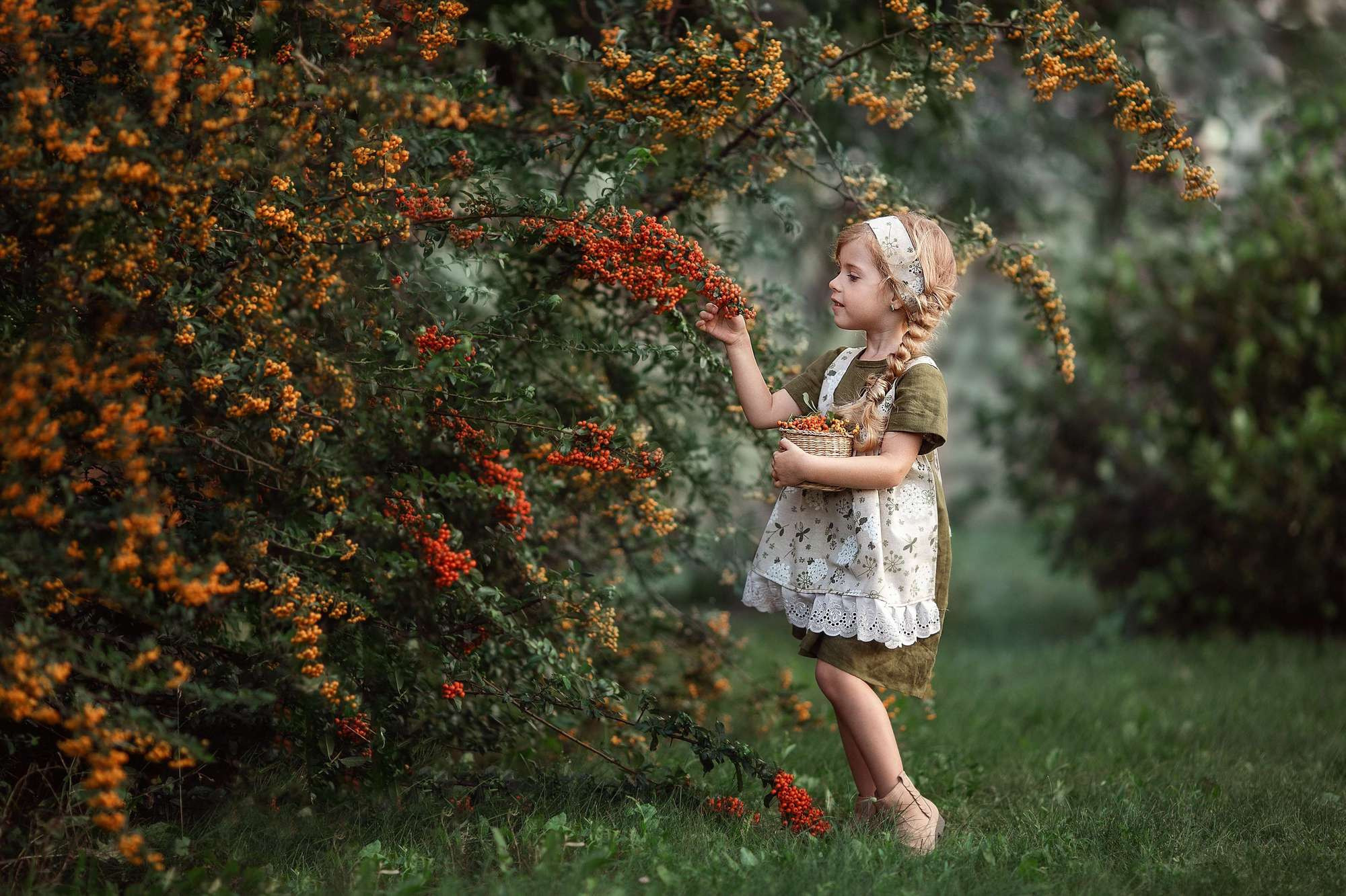 Обзор объективов, которые я использую. Фотошкола | Фотограф в Краснодаре Марина Туник