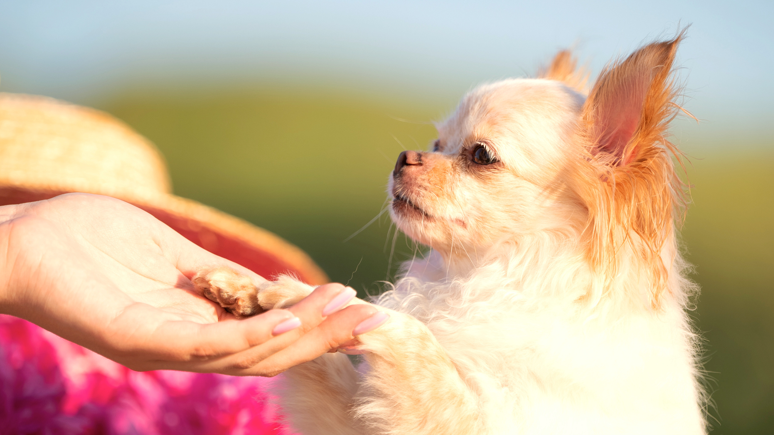 Мила Астахова