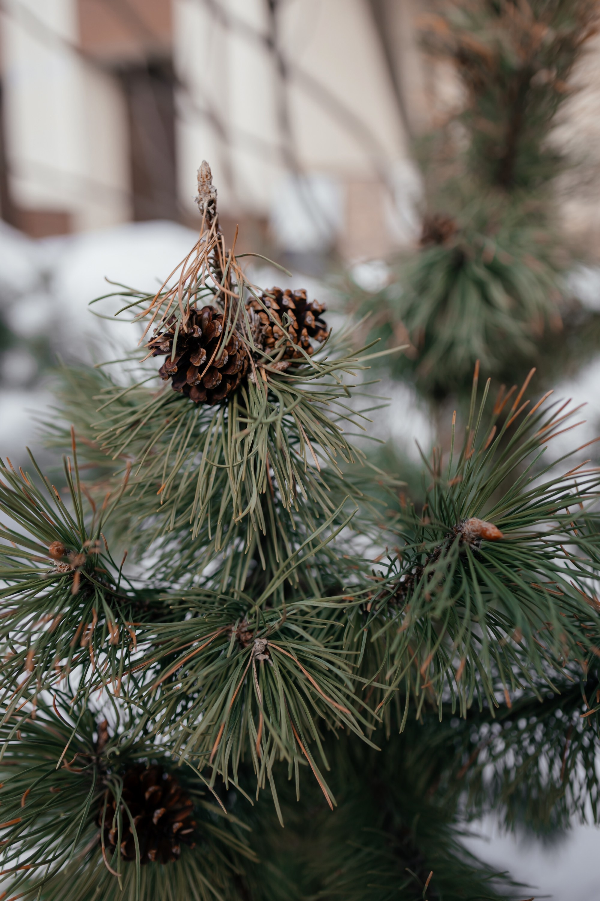 Дарья и Павел