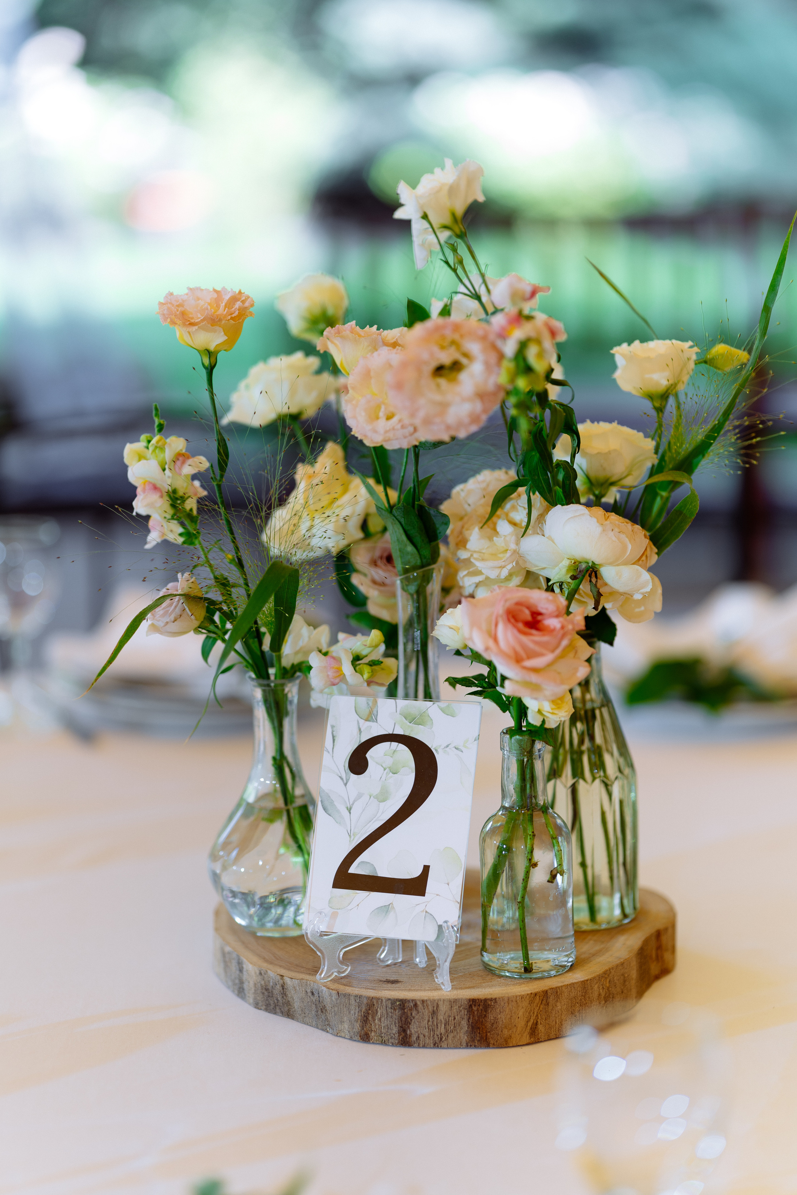 Свадьба Саши и Тани в парке-отеле Каньон, Ростов-на-Дону