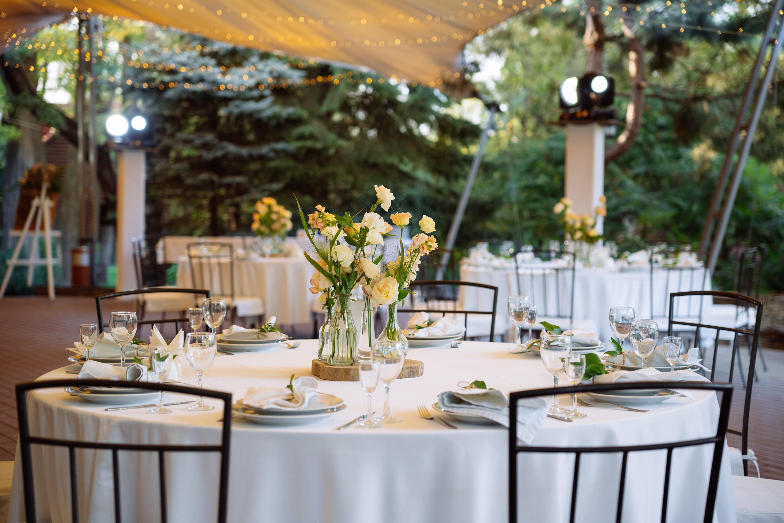 Свадьба Саши и Тани в парке-отеле Каньон, Ростов-на-Дону