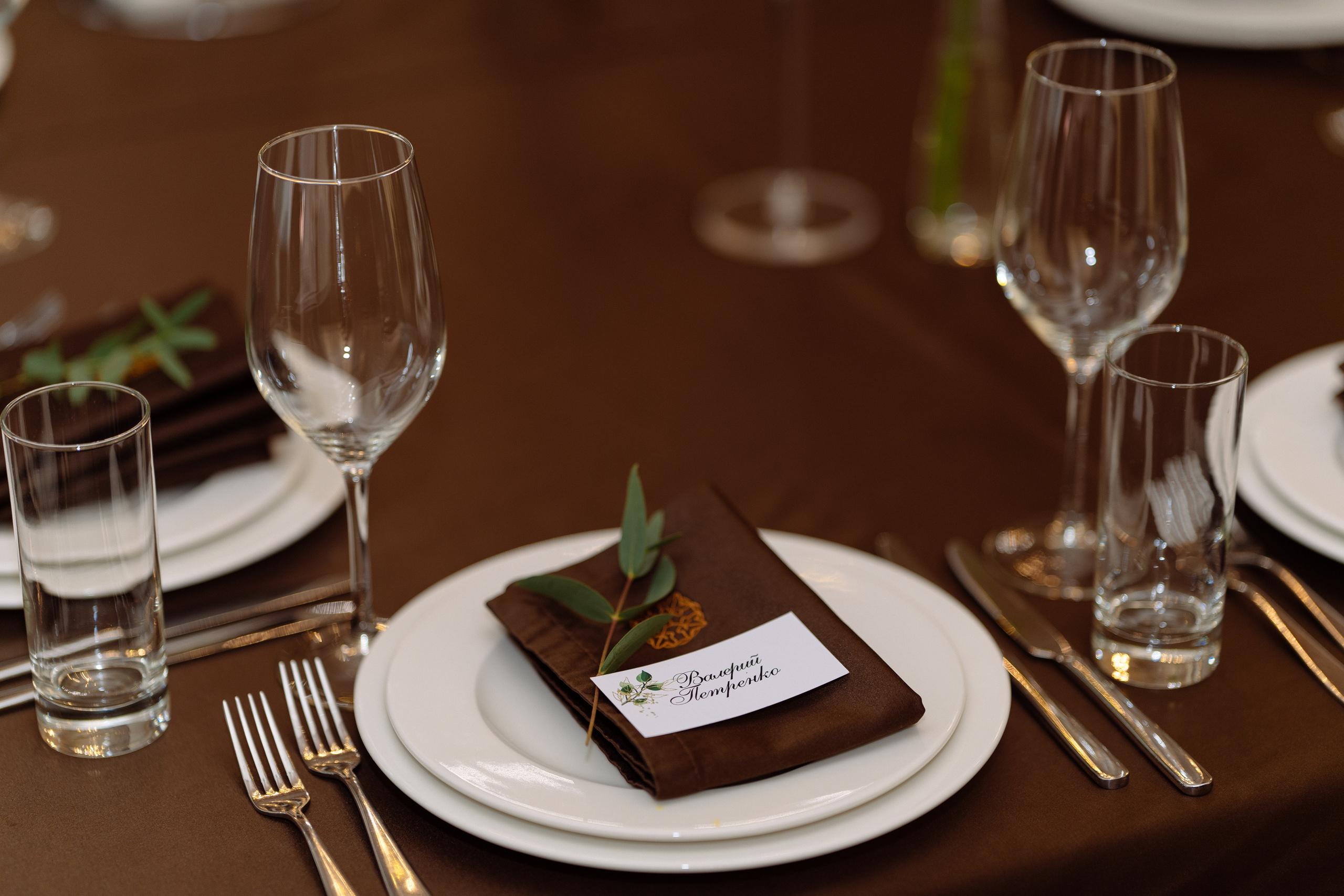 Свадьба Андрея и Алены в ресторане Графский парк, Ростов-на-Дону