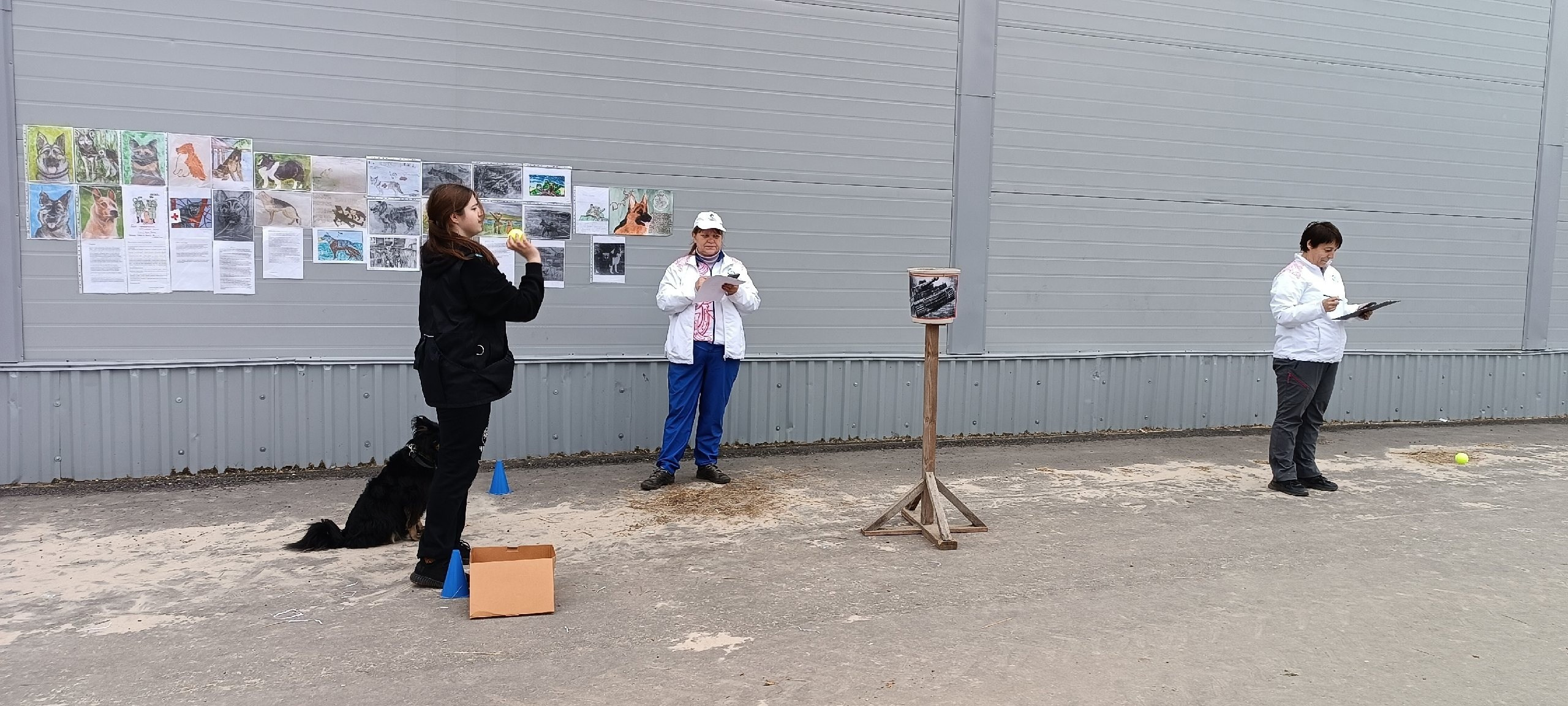 Кинологические старты. НРОО КЦ "Собаковод"