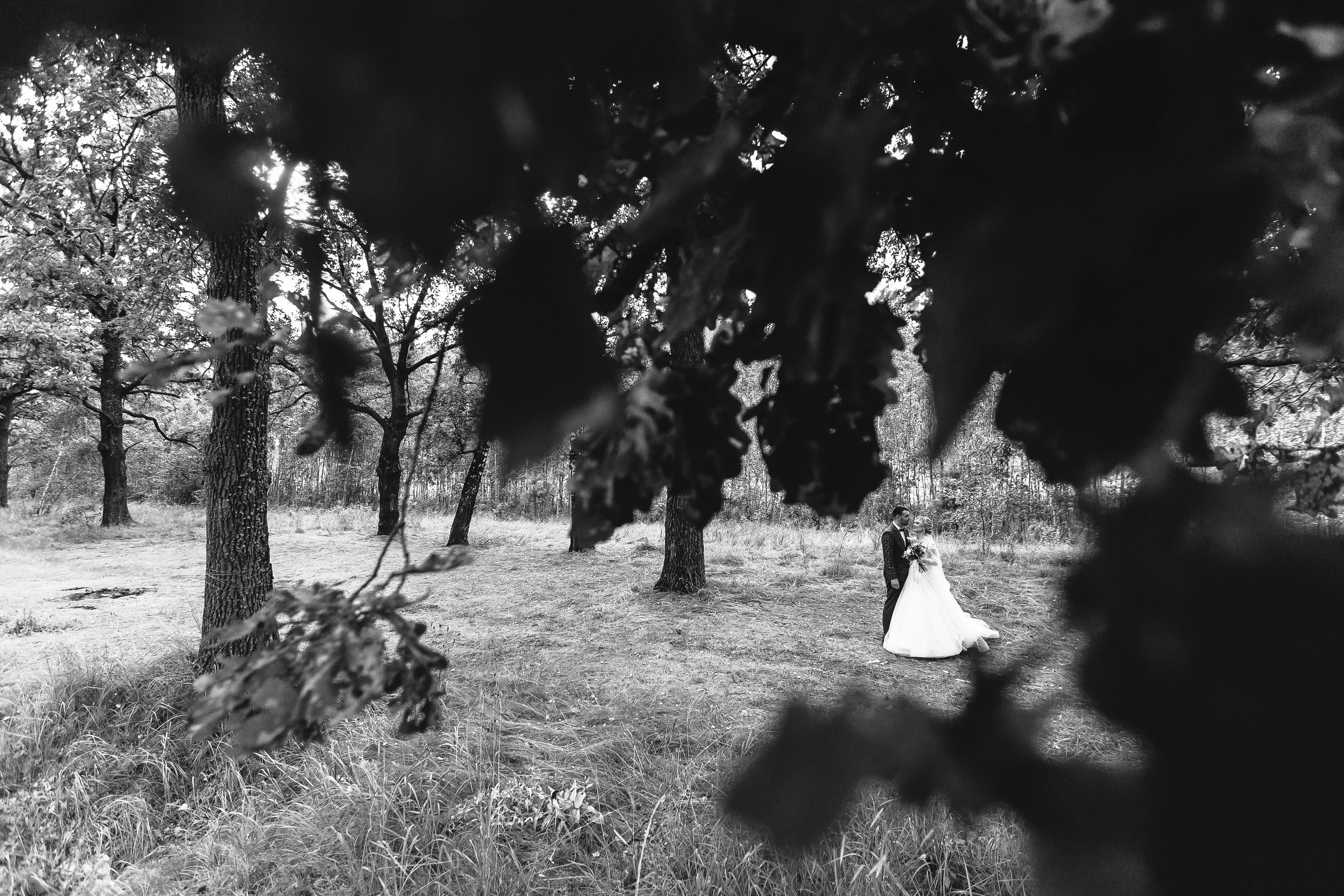 Счастье в каждом кадре. Сергеев Алексей. Фотограф