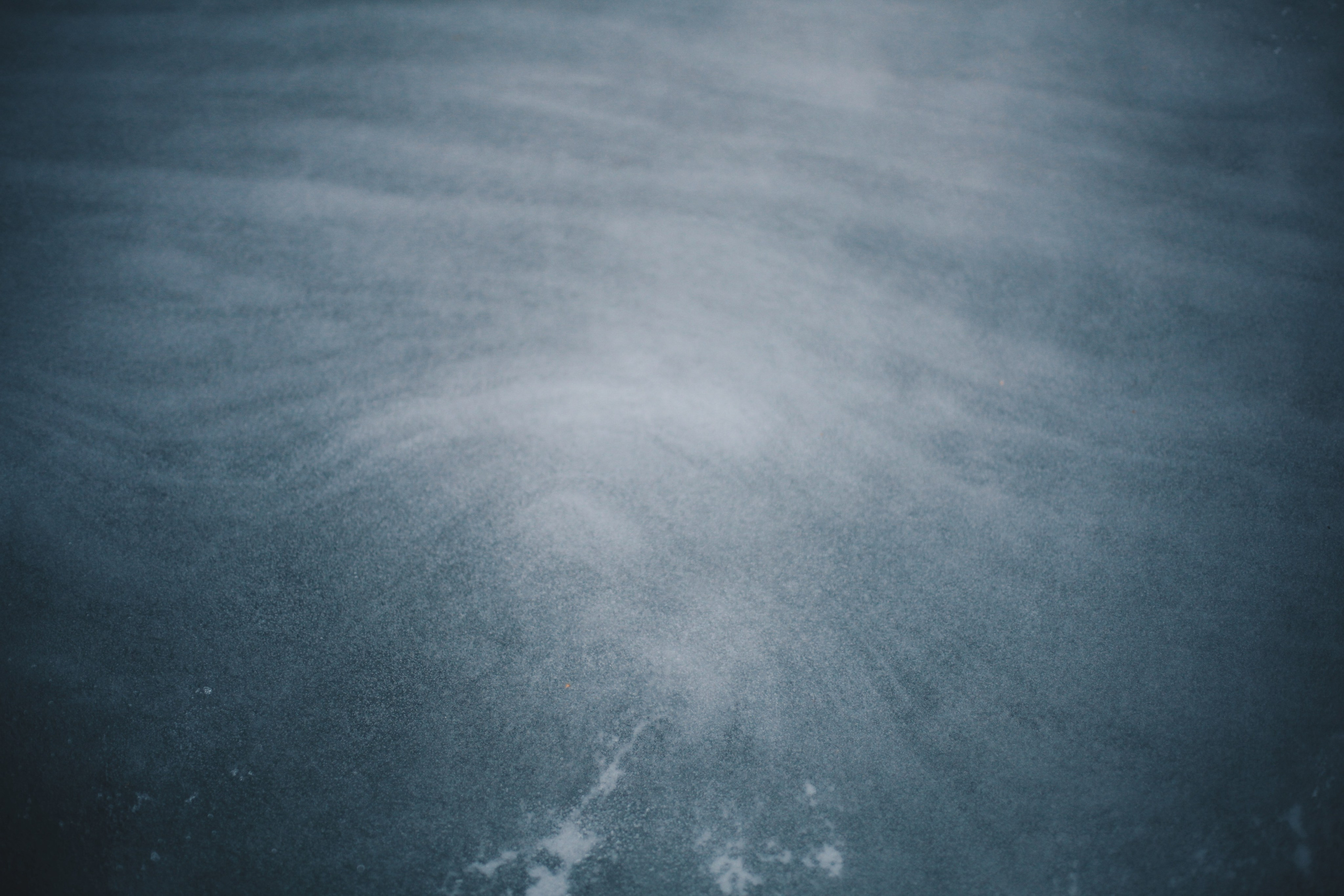 Семейные съемки. Ксения Плотникова