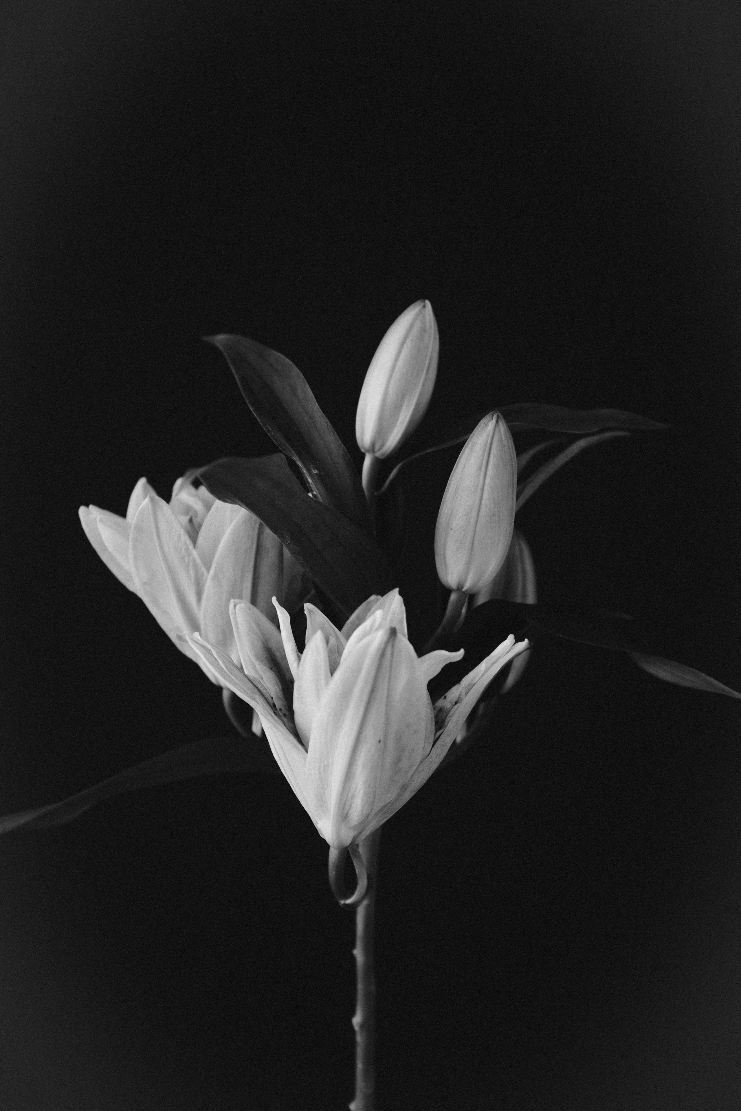 Фотограф в Москве — Анна Киселёва | портреты и тёплые истории