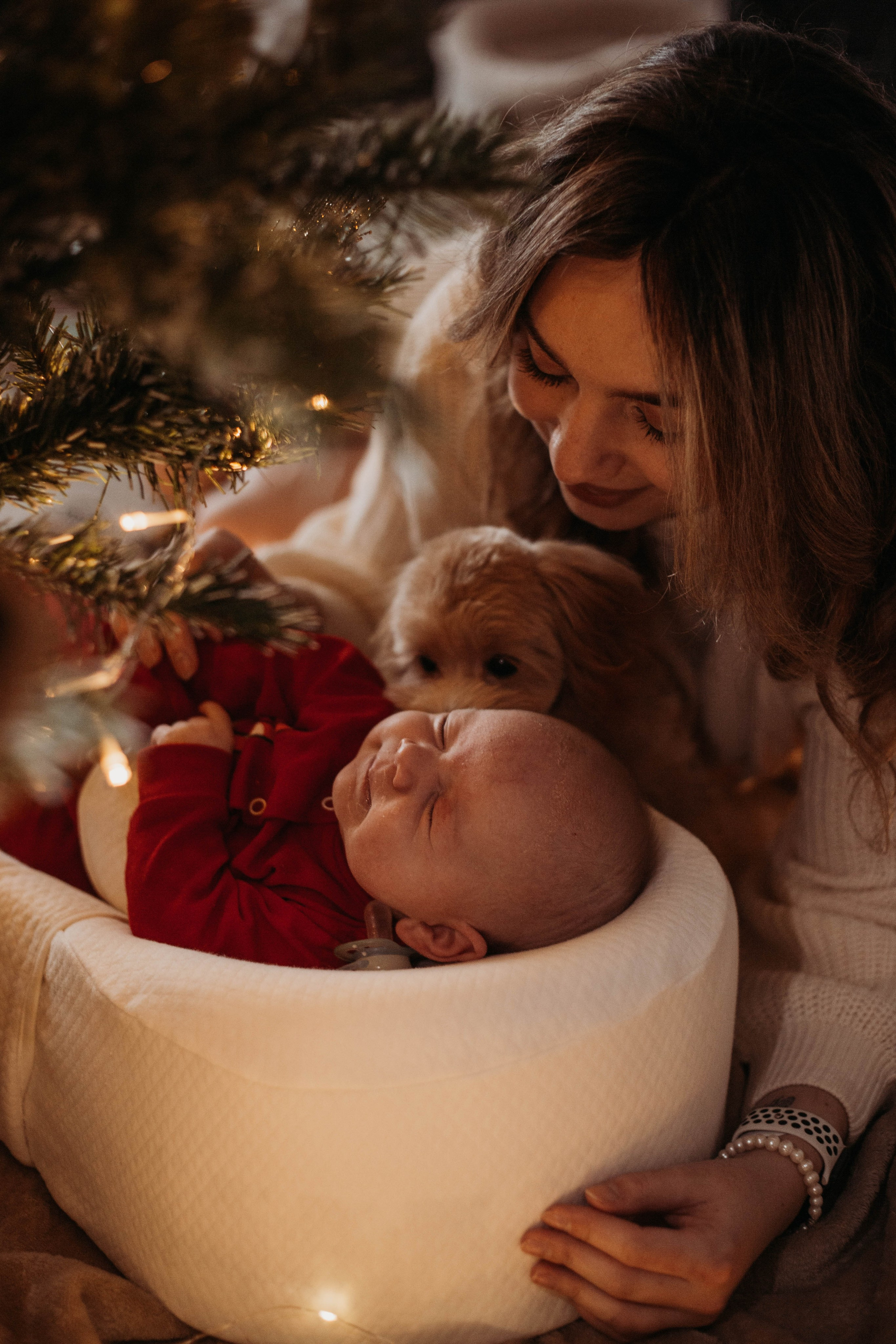 маленькая собака облизывает ухо новорождённому под елкой