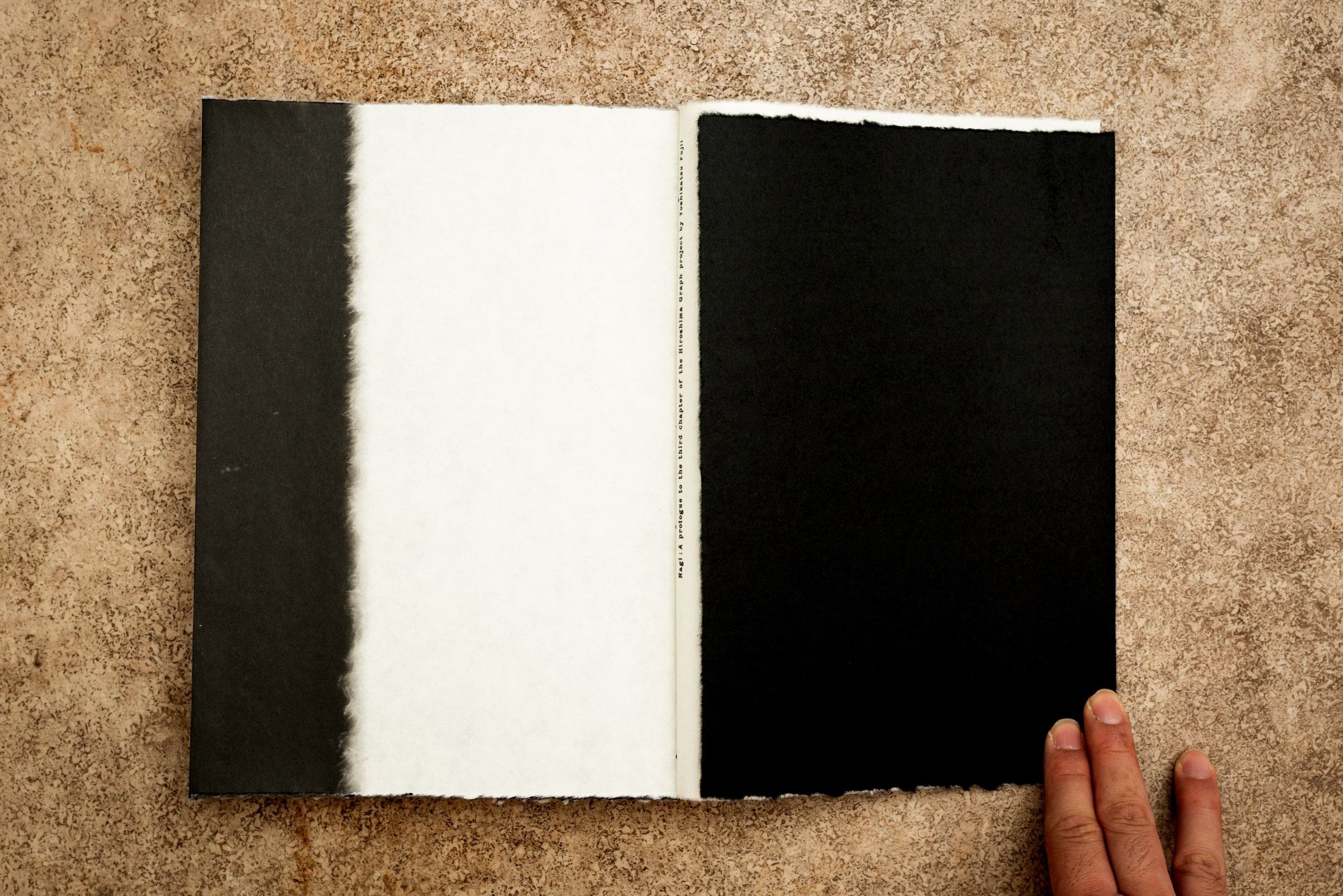 INTERVIEW WITH THE ARTIST: YOSHIKATSU FUJII. Самоорганизация Низина