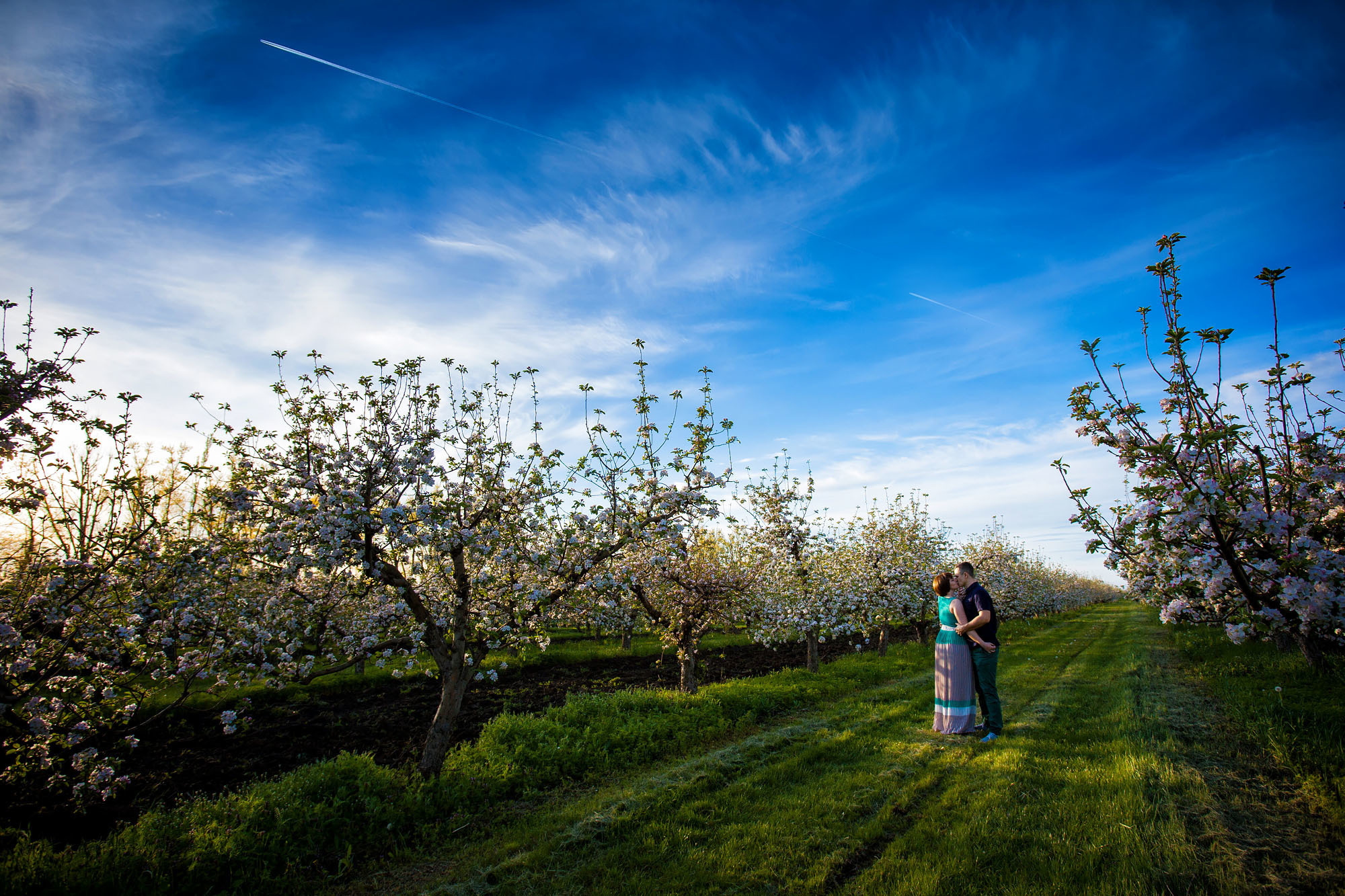 Семейная весенняя фотосессия в цветущих садах. Свадебный фотограф Краснодар, Сочи, Геленджик, Анапа, Ростов