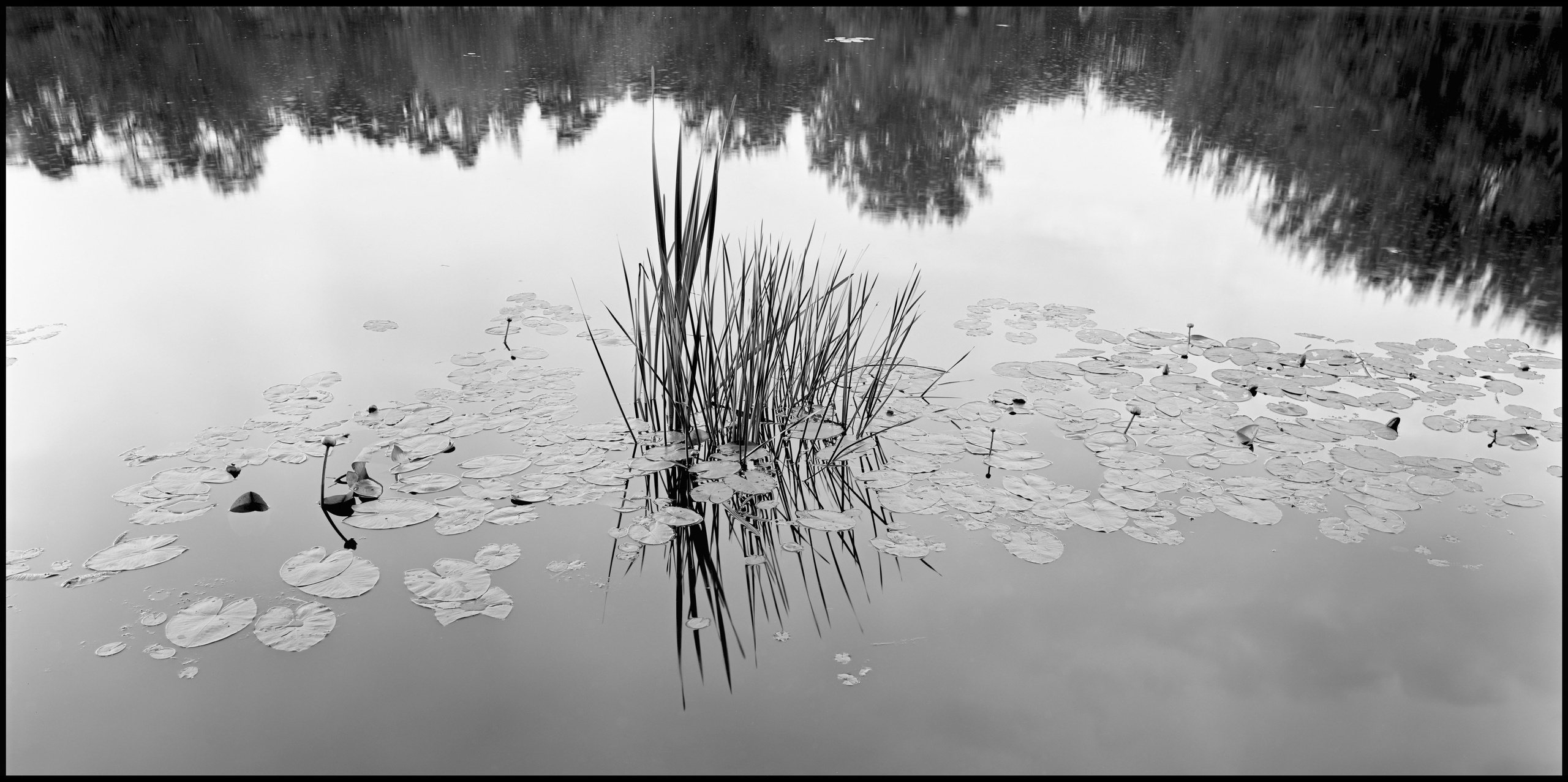 Landscape. Sergey Kondriuk art-photographer | artist
