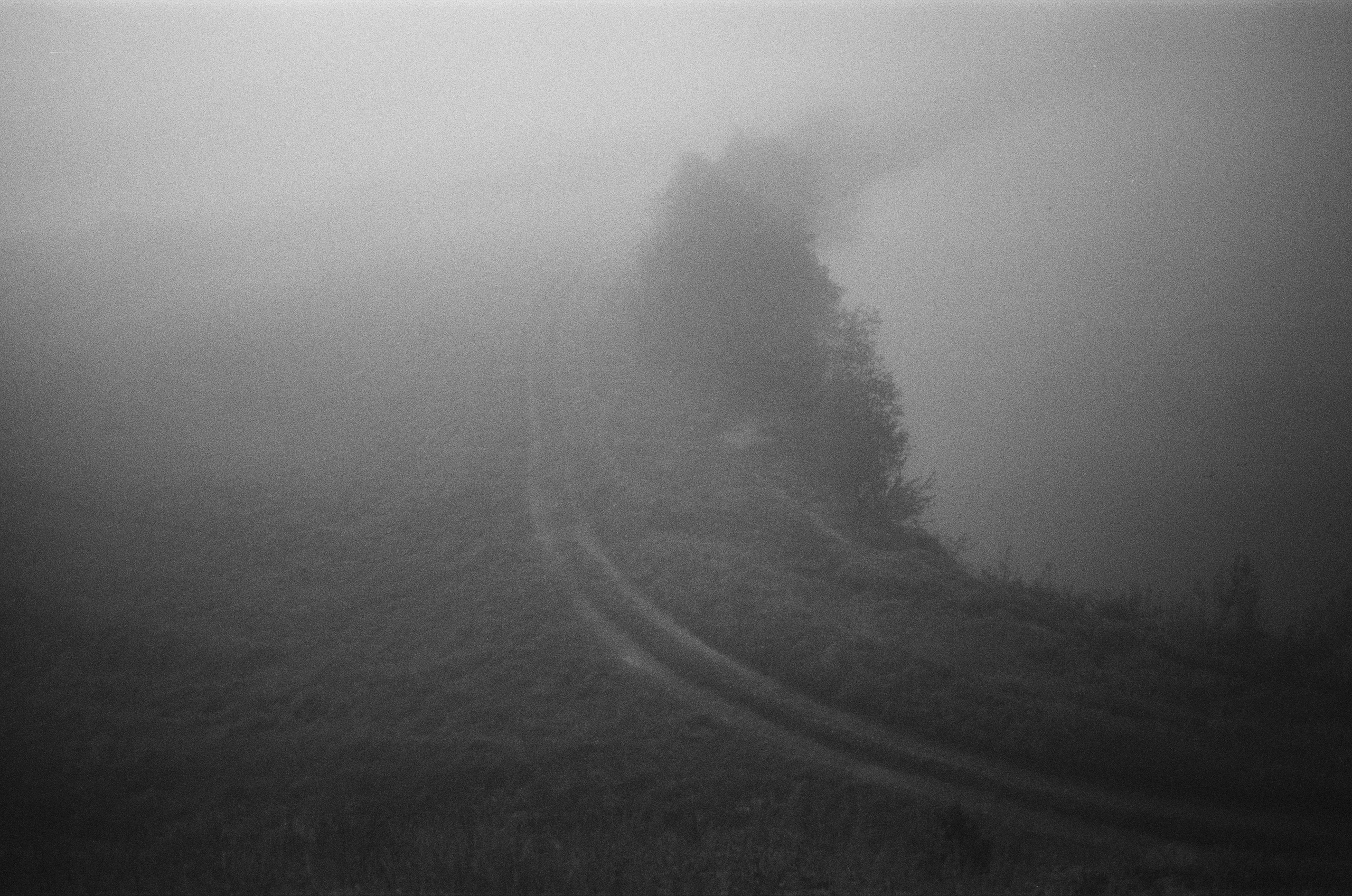 СОН О СЕЛЕ. SUVDO