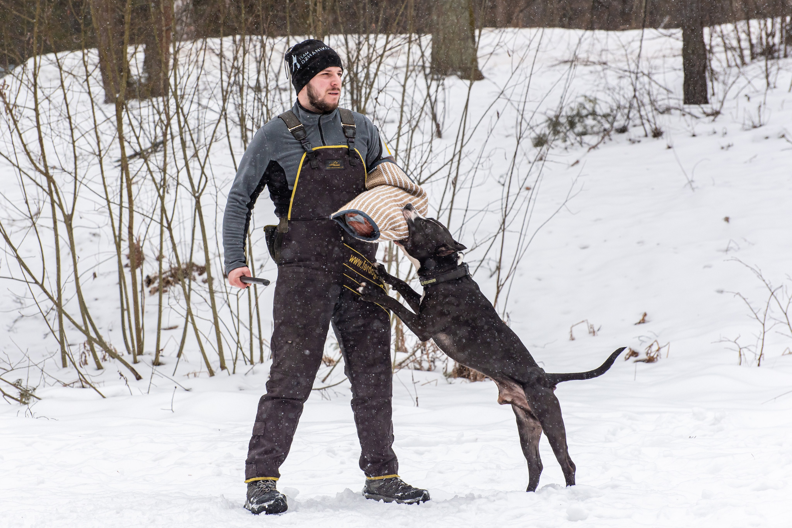 Фотосессии в кинологическом лагере. Фотограф Макс Огурцов в Нижнем Новгороде