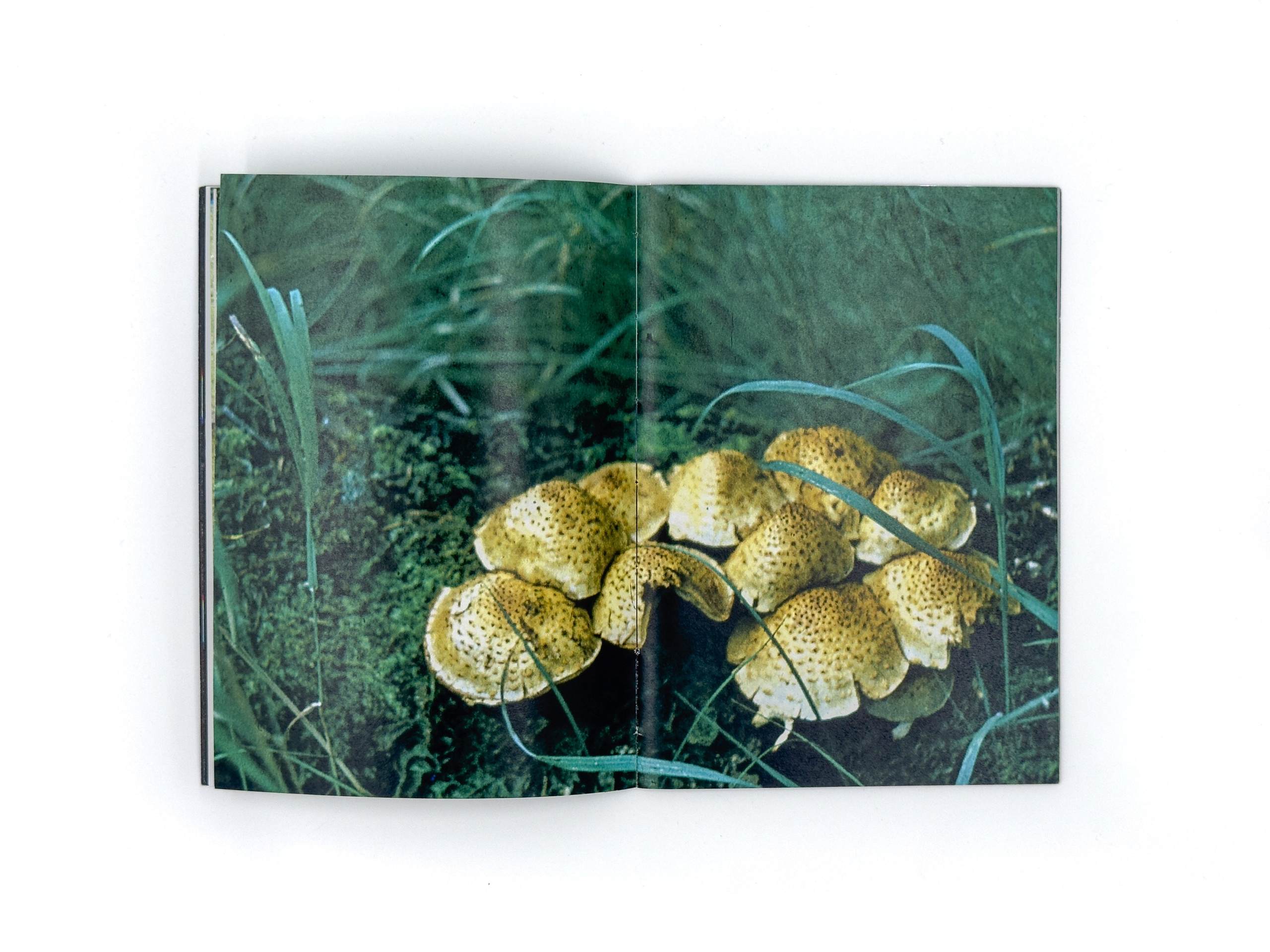 Flight mode. Лера Круглова